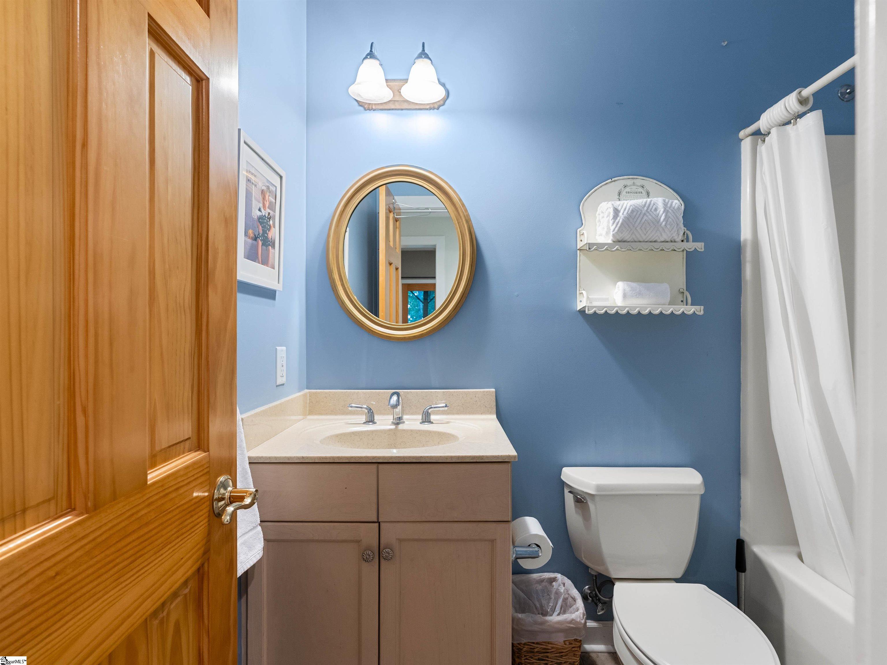 3 Rocky Gap Court Landrum, SC 29356