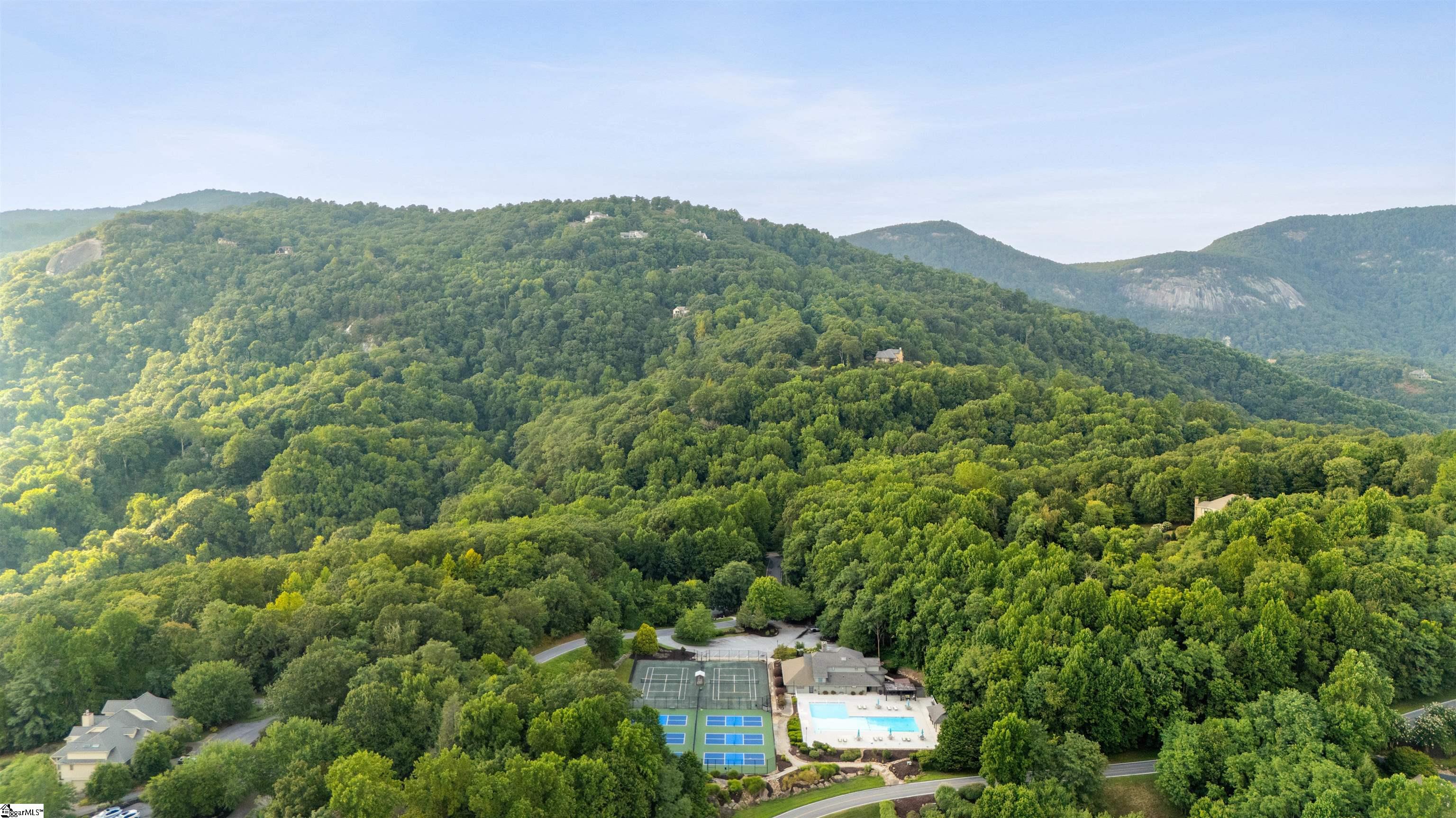 3 Rocky Gap Court Landrum, SC 29356