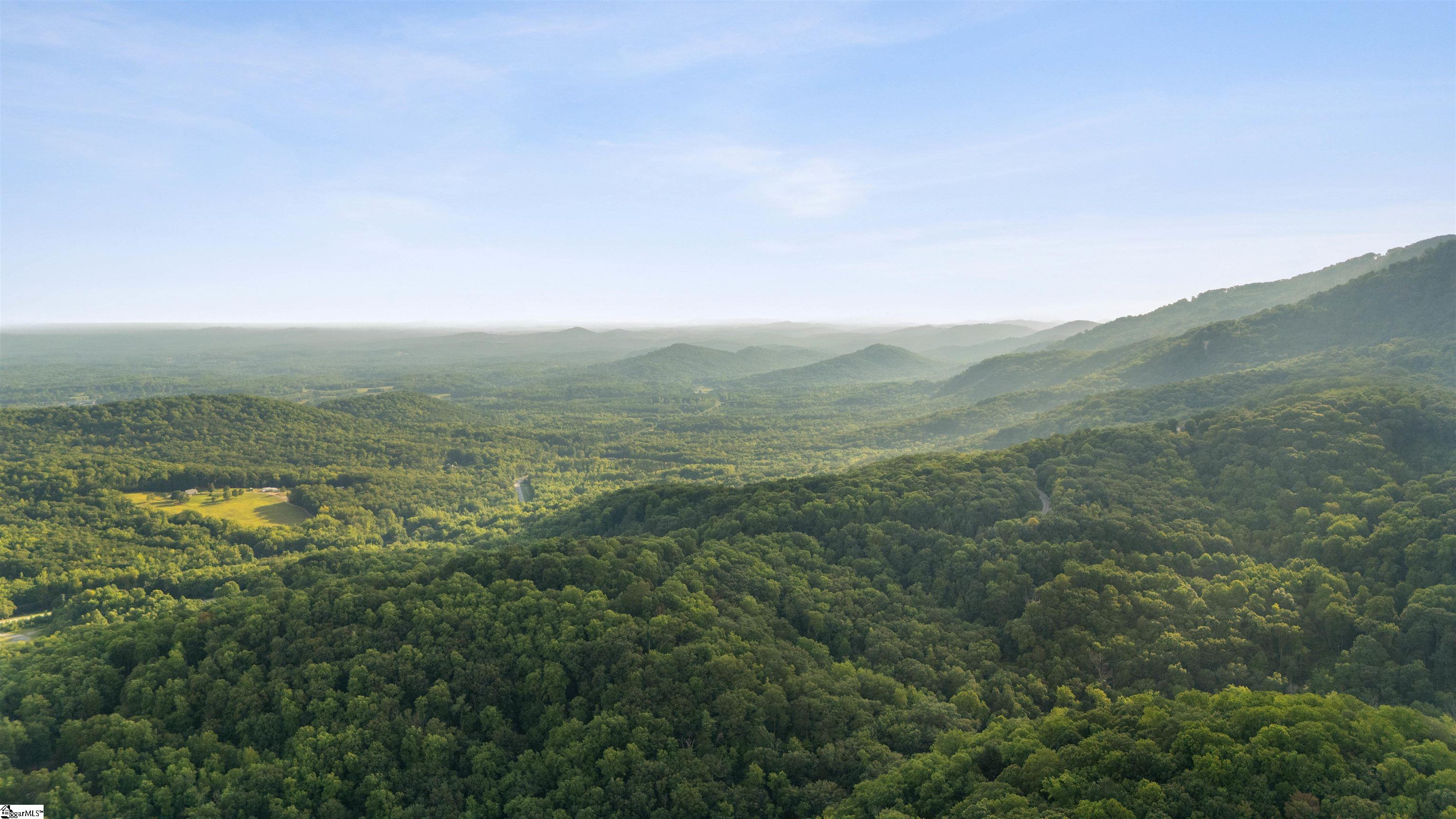 3 Rocky Gap Court Landrum, SC 29356