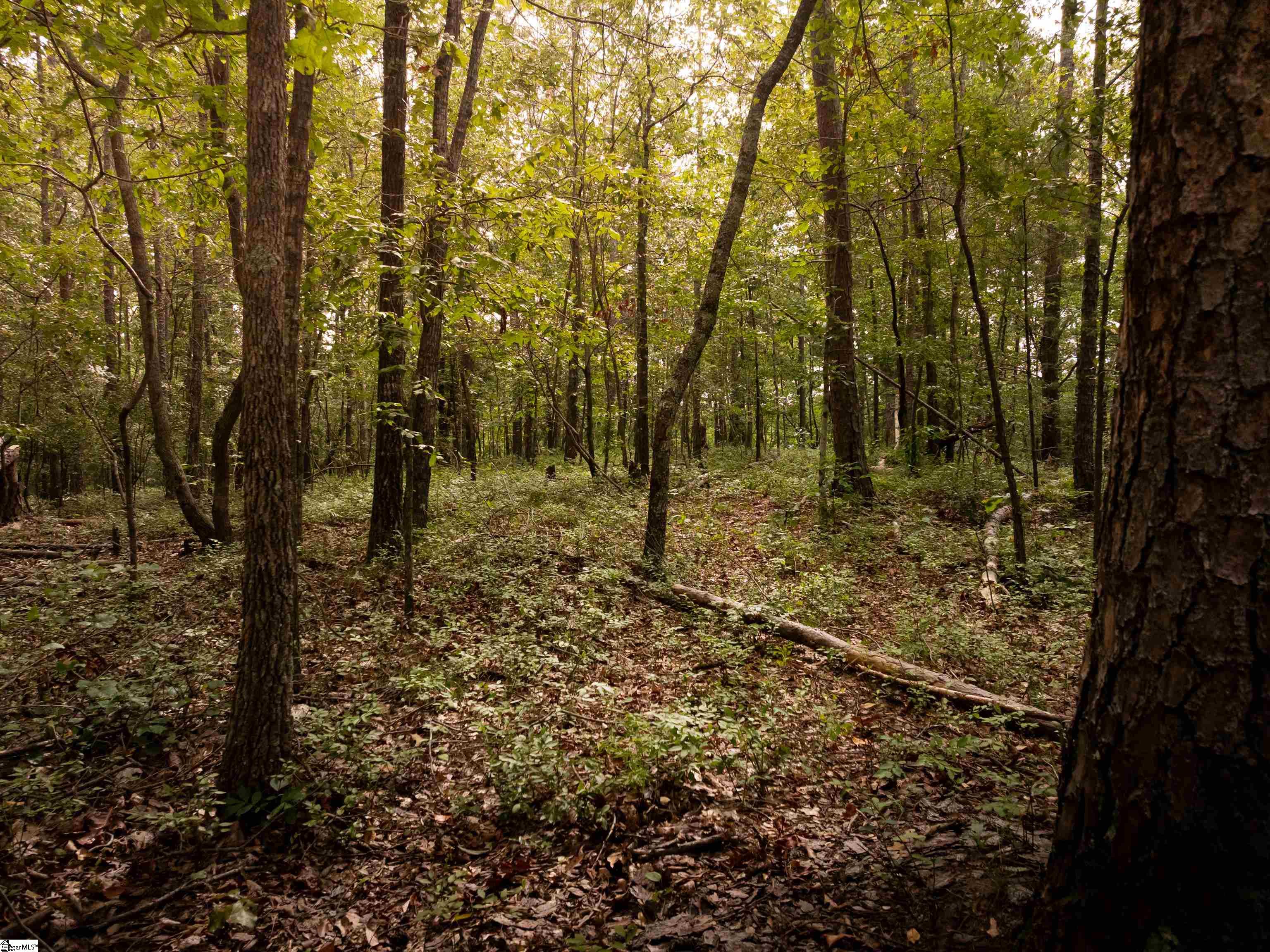 415 Silver Creek Road Central, SC 29630