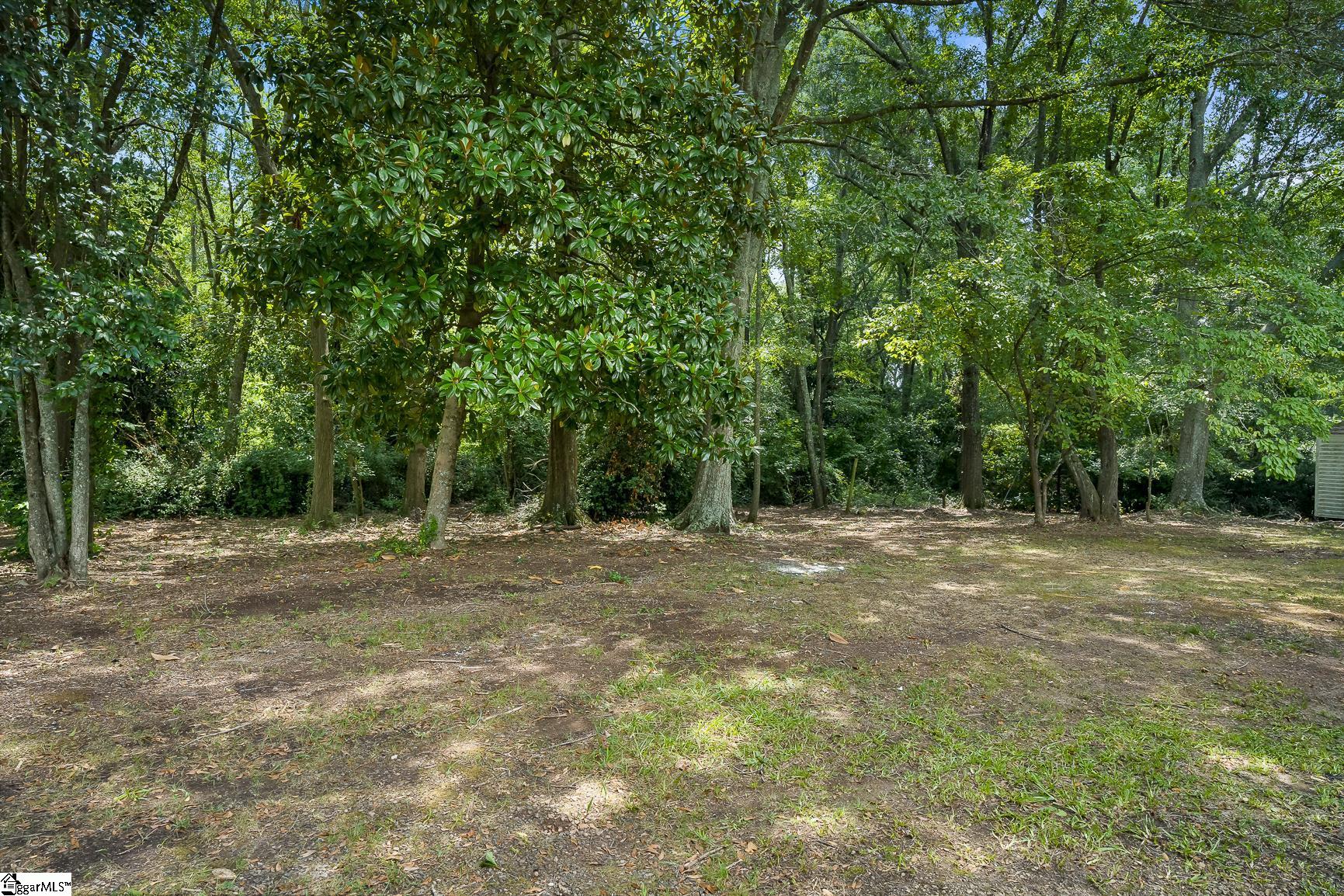 227 Belton Drive Williamston, SC 29697