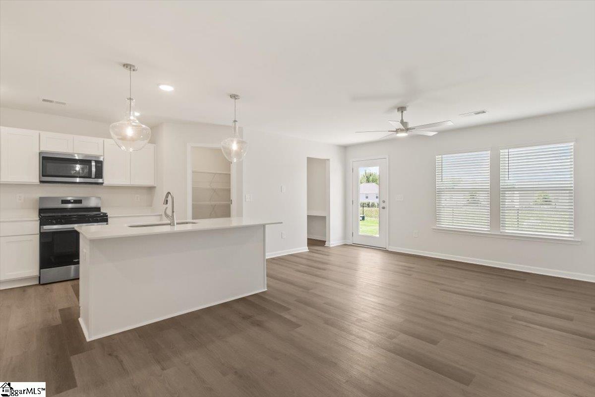 123 Cillian Street Fountain Inn, SC 29644