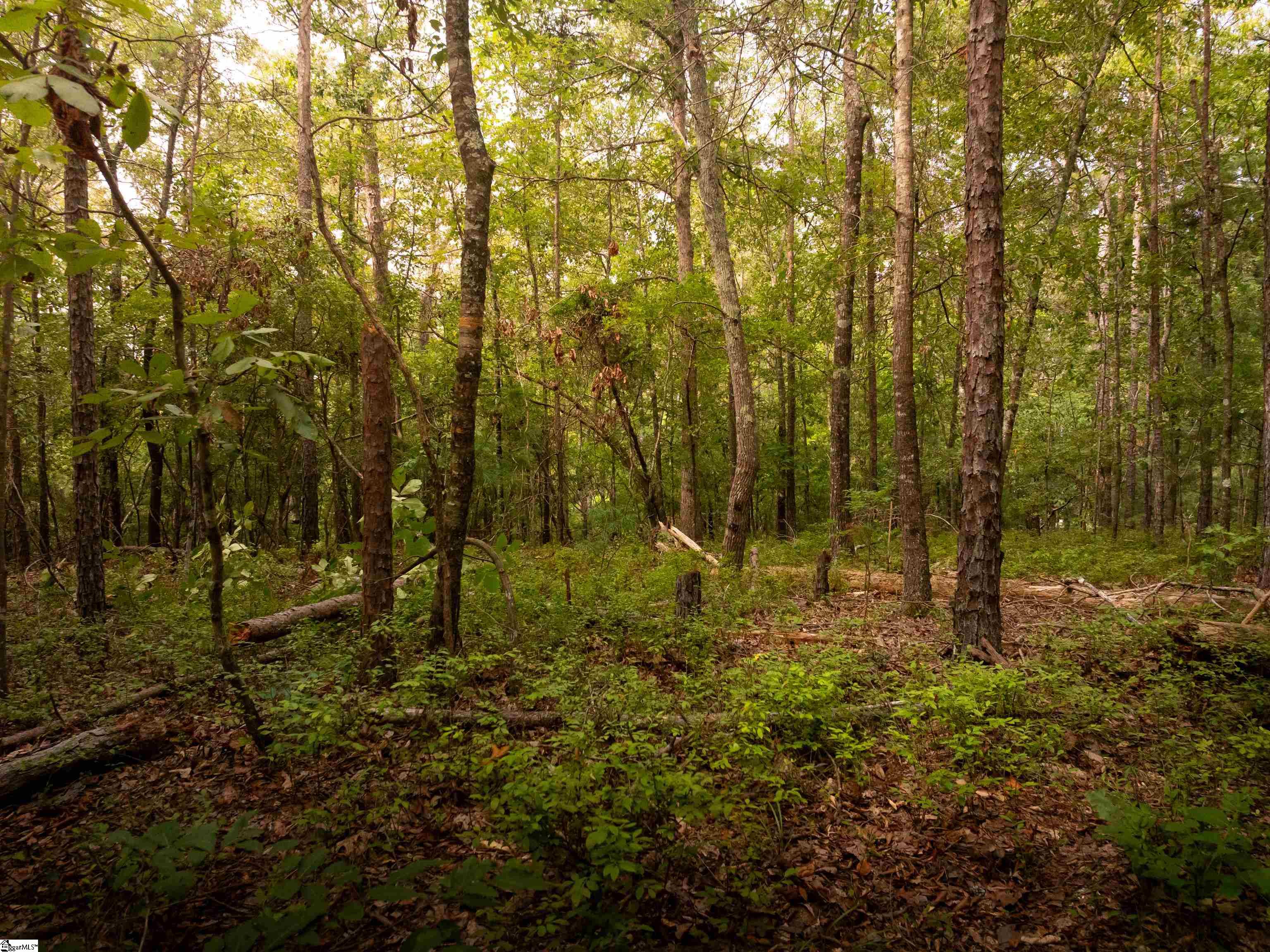 415 Silver Creek Road Central, SC 29630