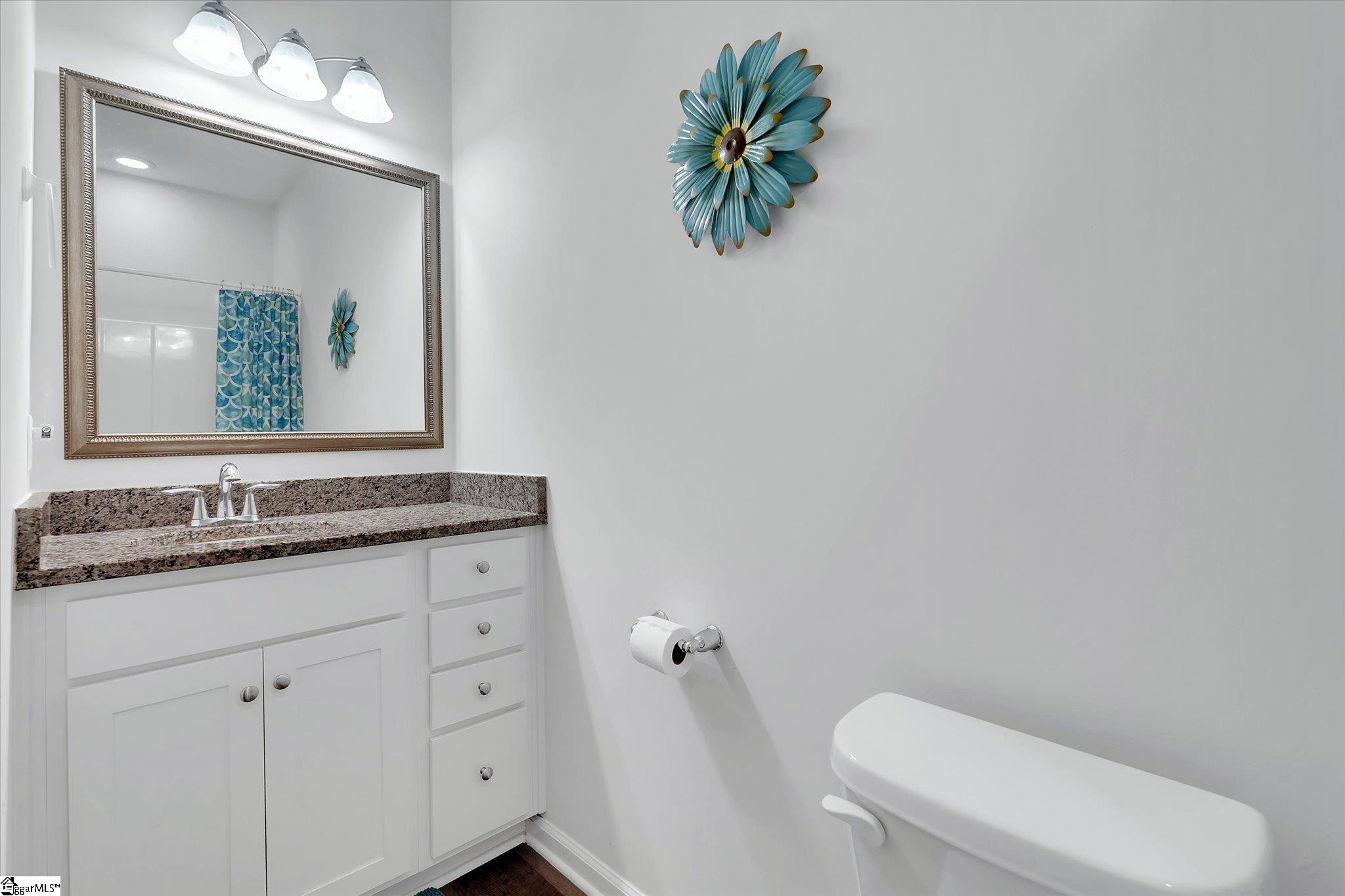 163 Strongridge Trail Simpsonville, SC 29681