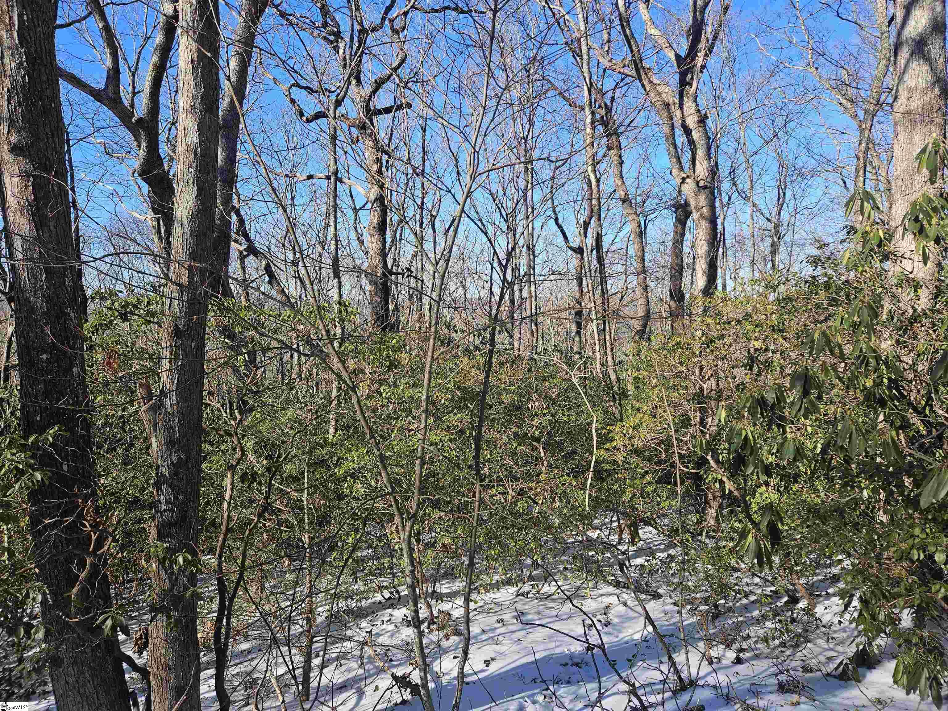 609 Cliff Ridge Drive Cleveland, SC 29635