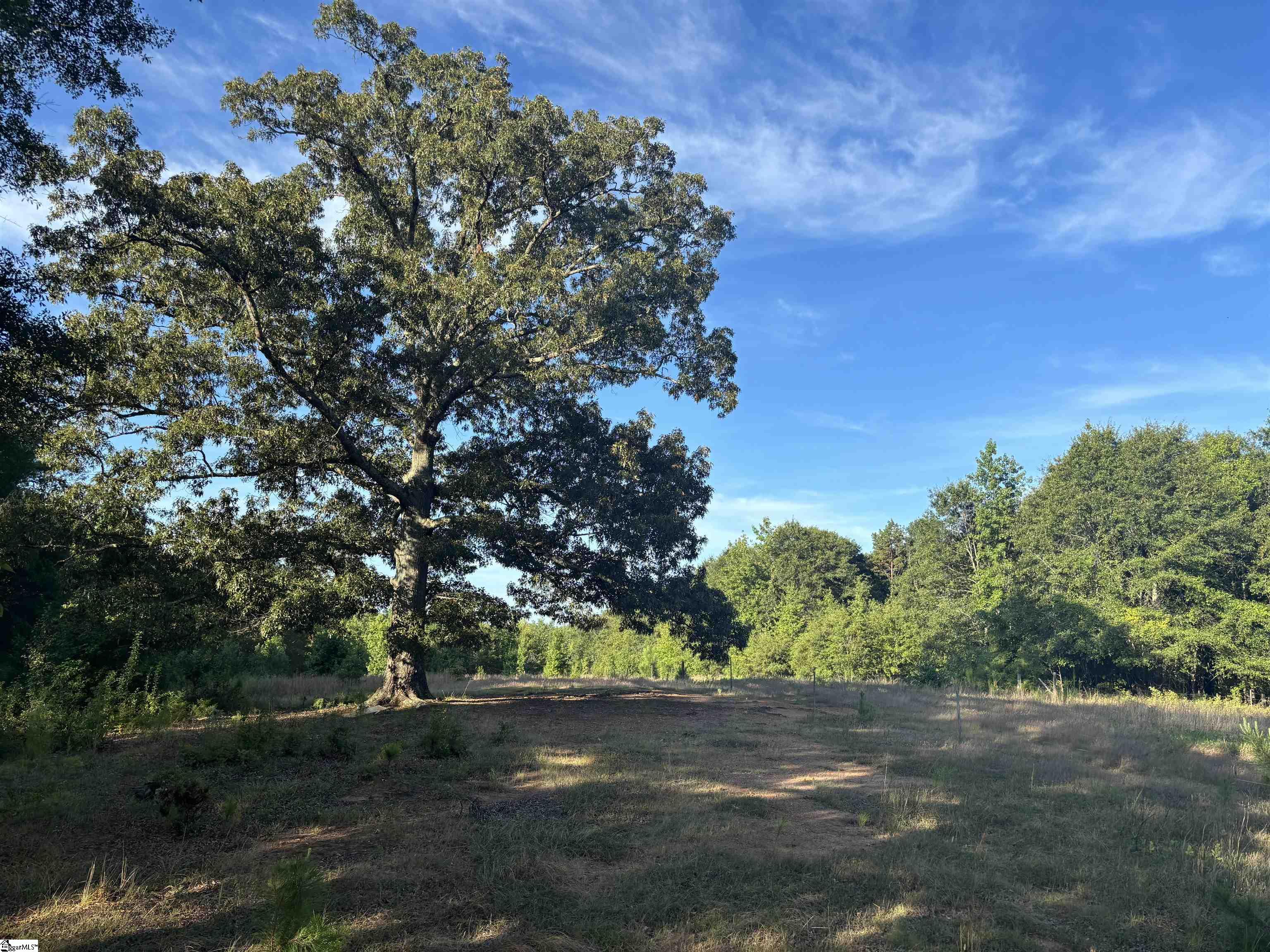 1609 Holiday Dam Road Belton, SC 29627