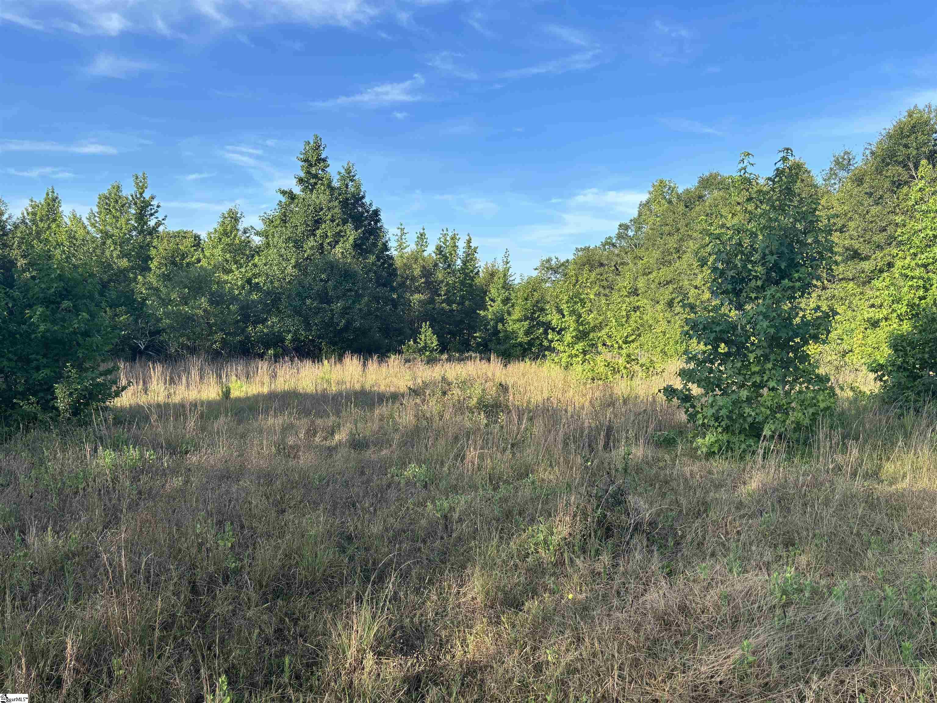 1609 Holiday Dam Road Belton, SC 29627