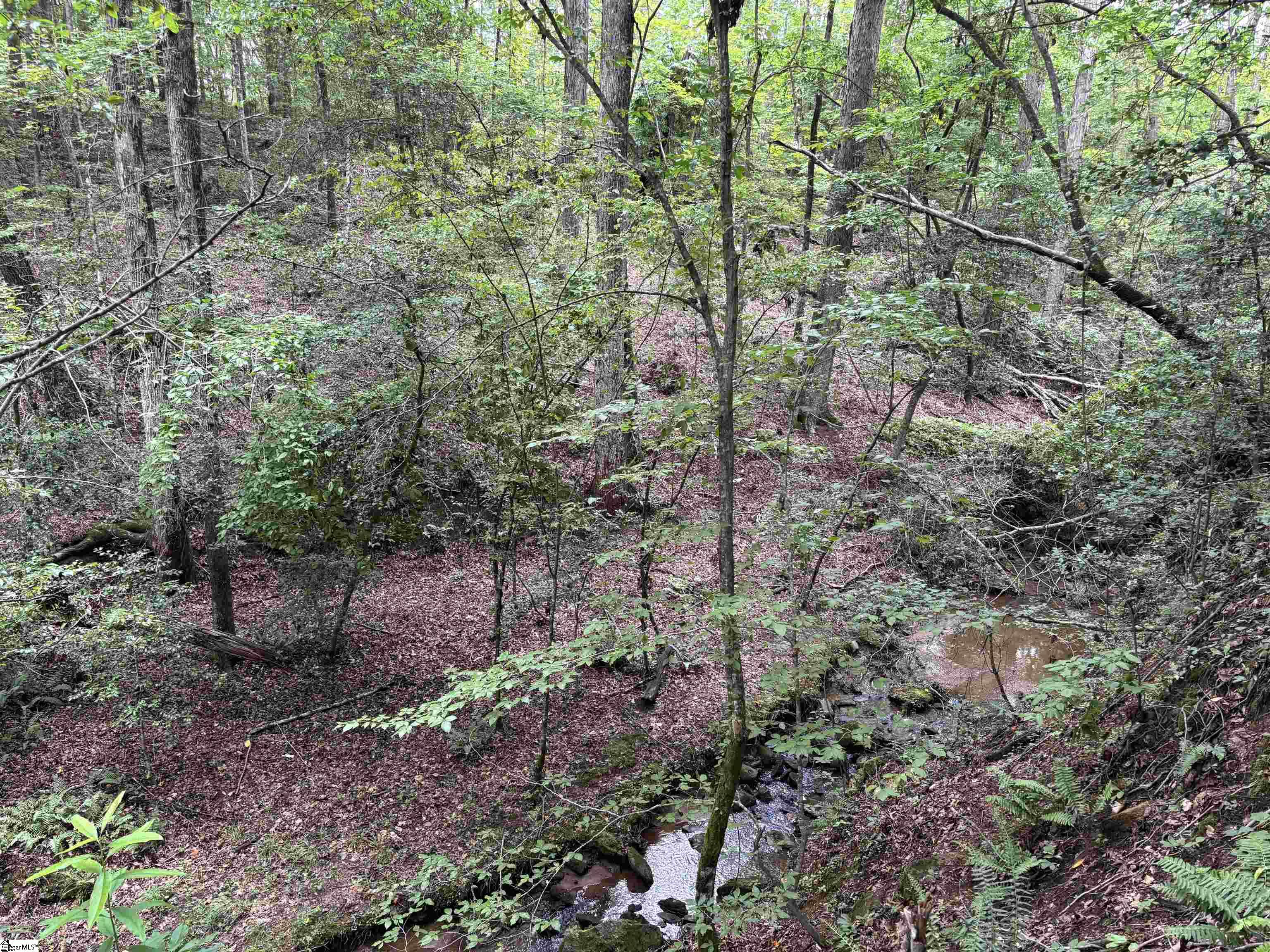 1609 Holiday Dam Road Belton, SC 29627