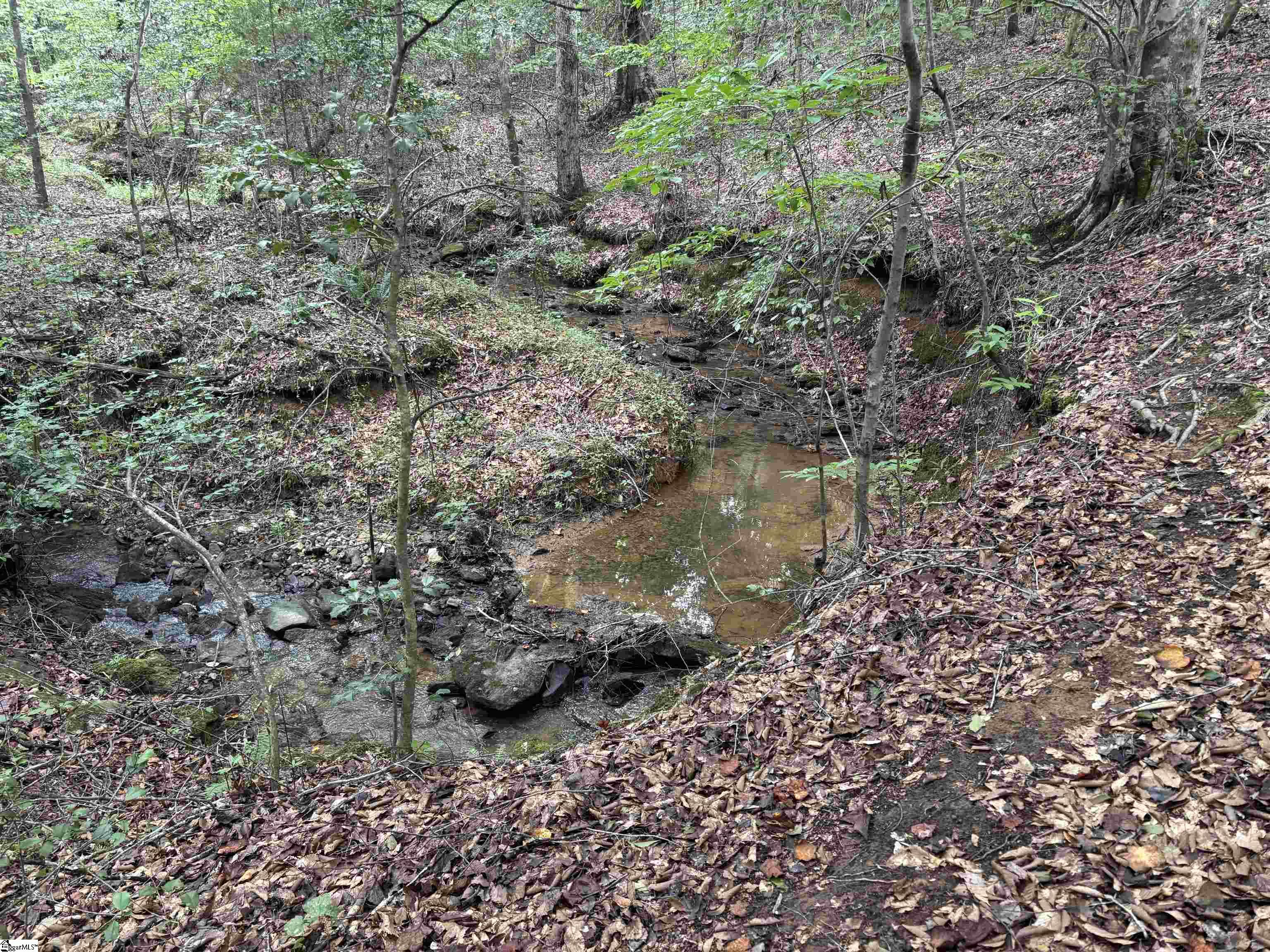 1609 Holiday Dam Road Belton, SC 29627