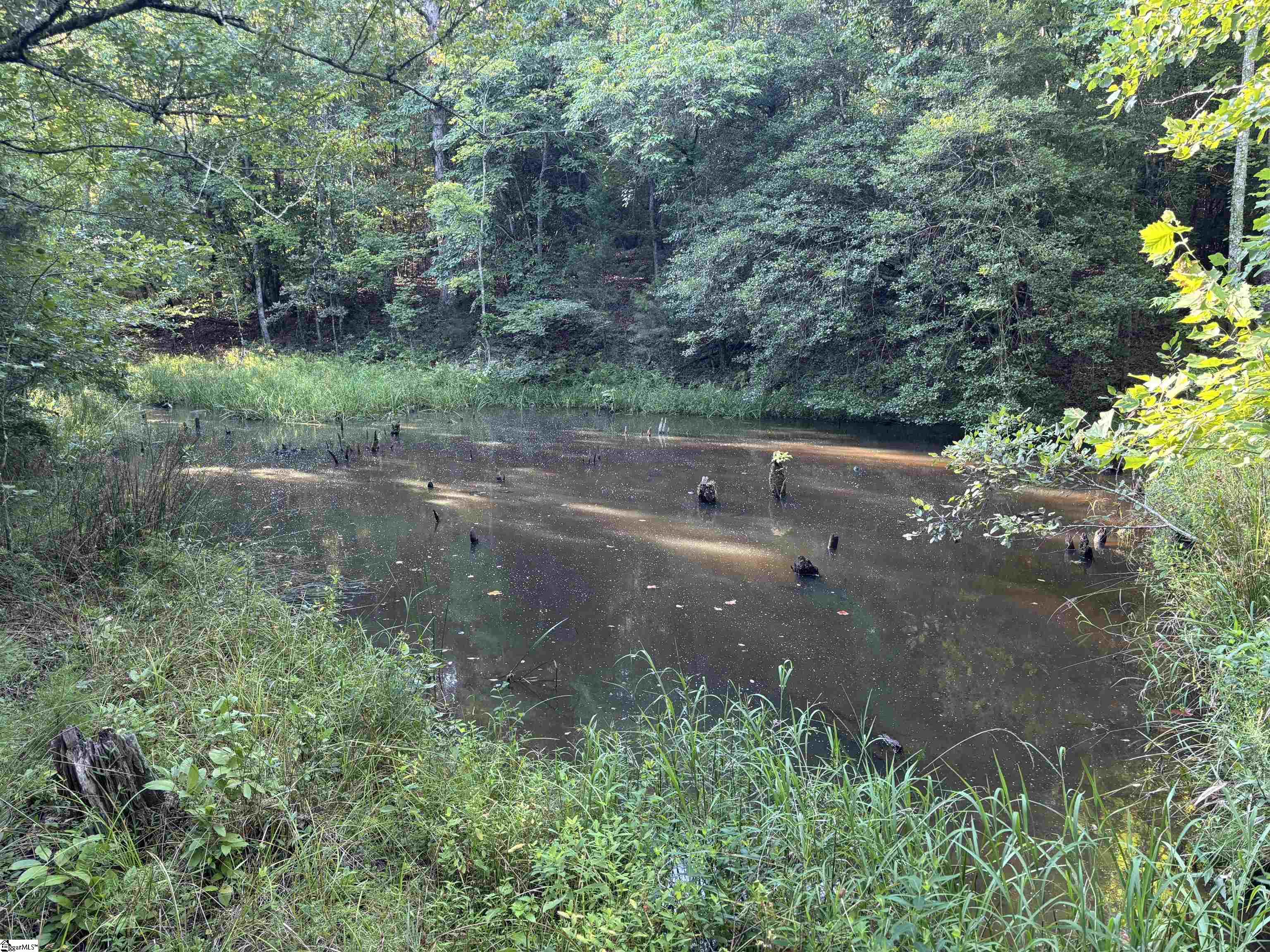 1609 Holiday Dam Road Belton, SC 29627