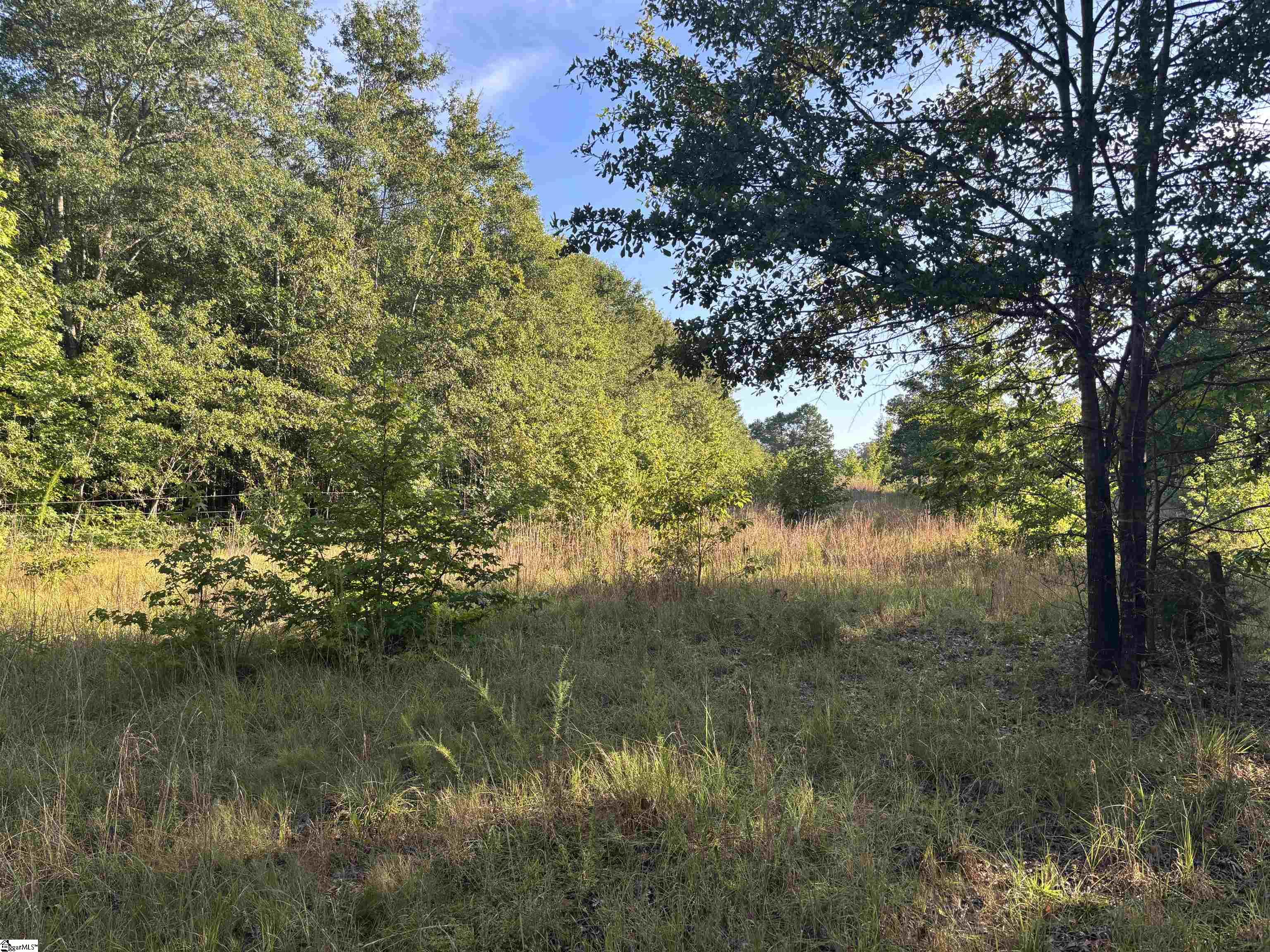1609 Holiday Dam Road Belton, SC 29627