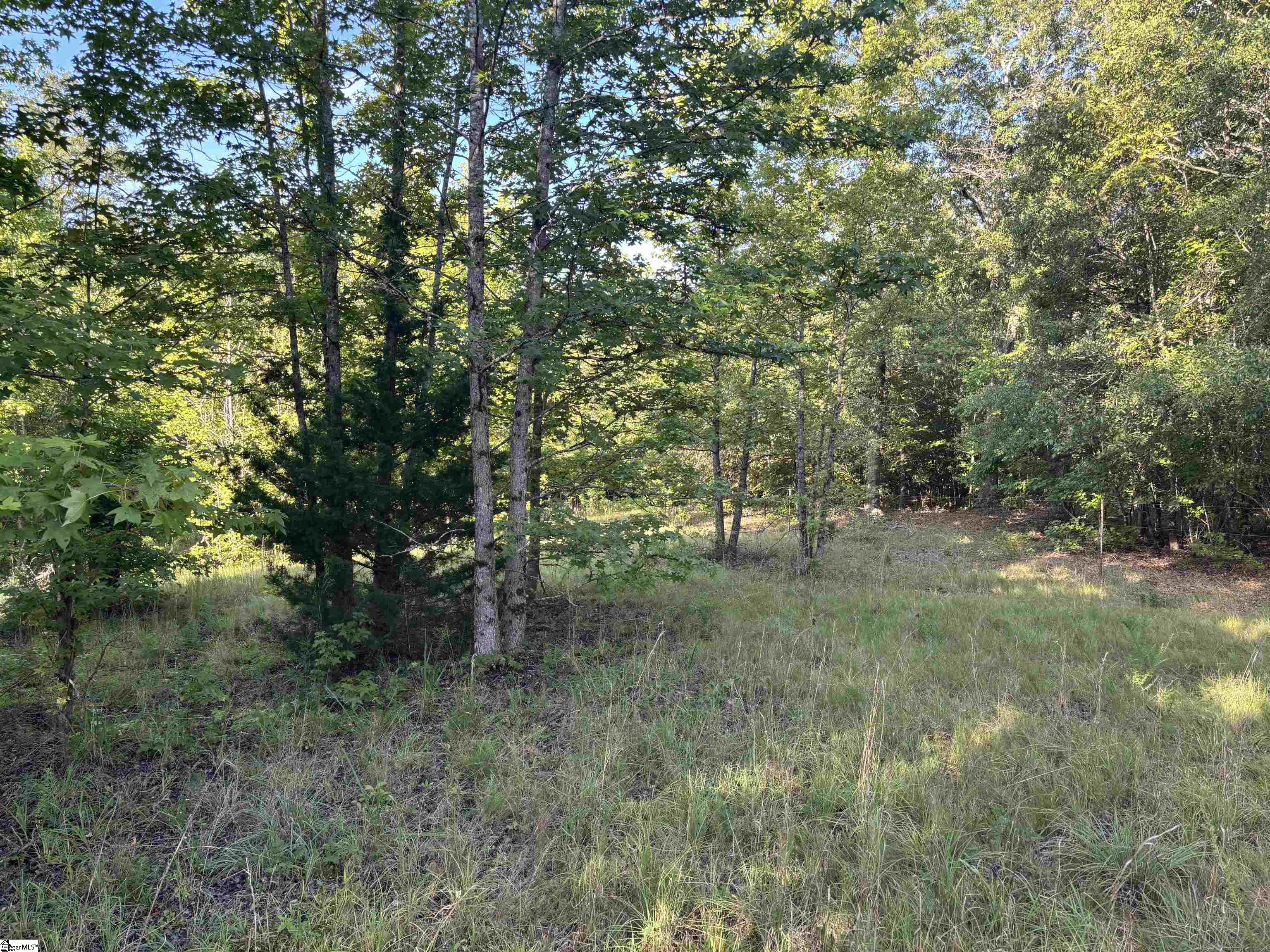 1609 Holiday Dam Road Belton, SC 29627