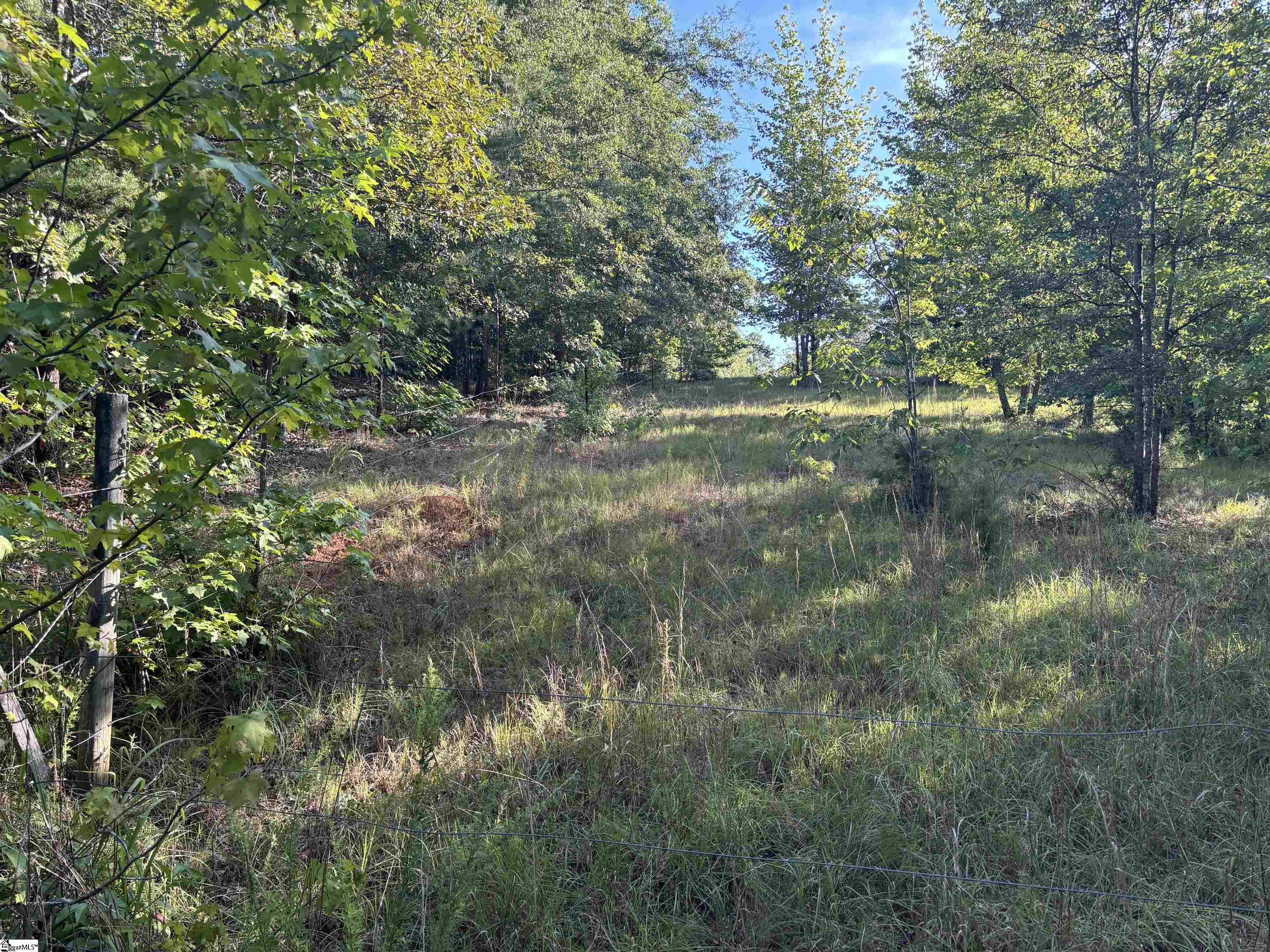 1609 Holiday Dam Road Belton, SC 29627