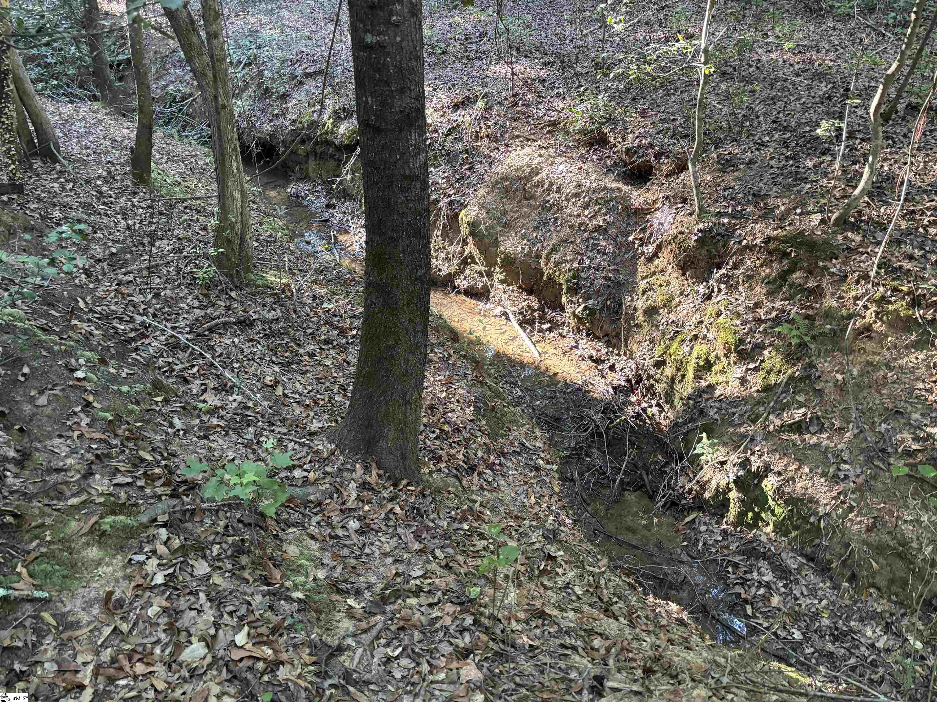 1609 Holiday Dam Road Belton, SC 29627