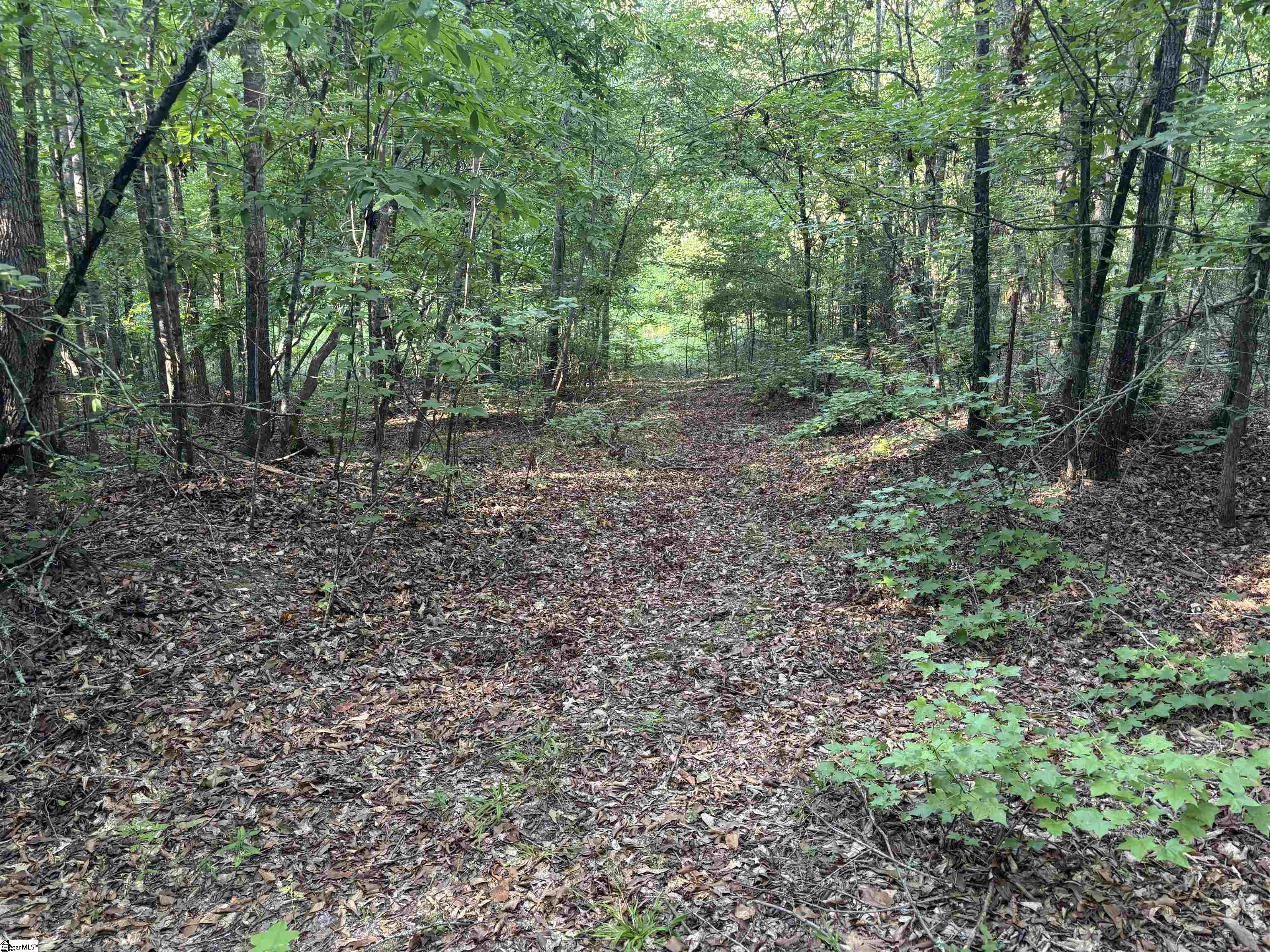 1609 Holiday Dam Road Belton, SC 29627