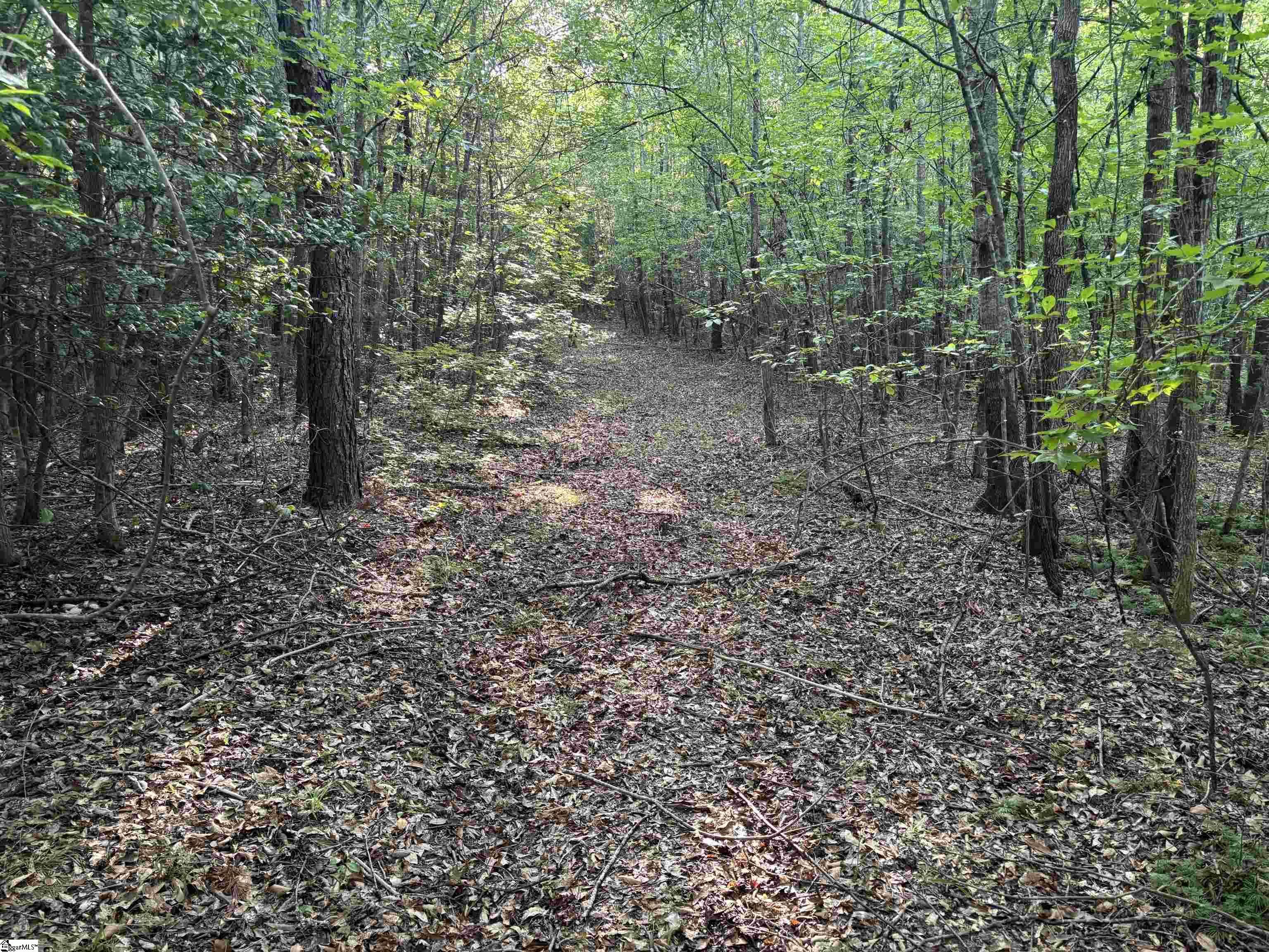 1609 Holiday Dam Road Belton, SC 29627