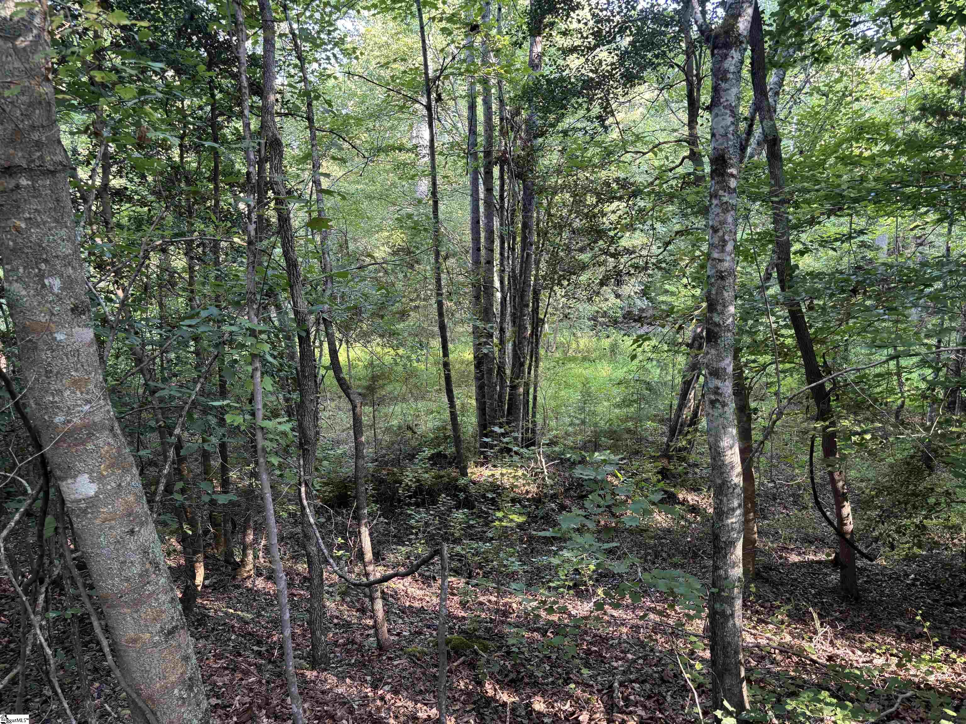 1609 Holiday Dam Road Belton, SC 29627