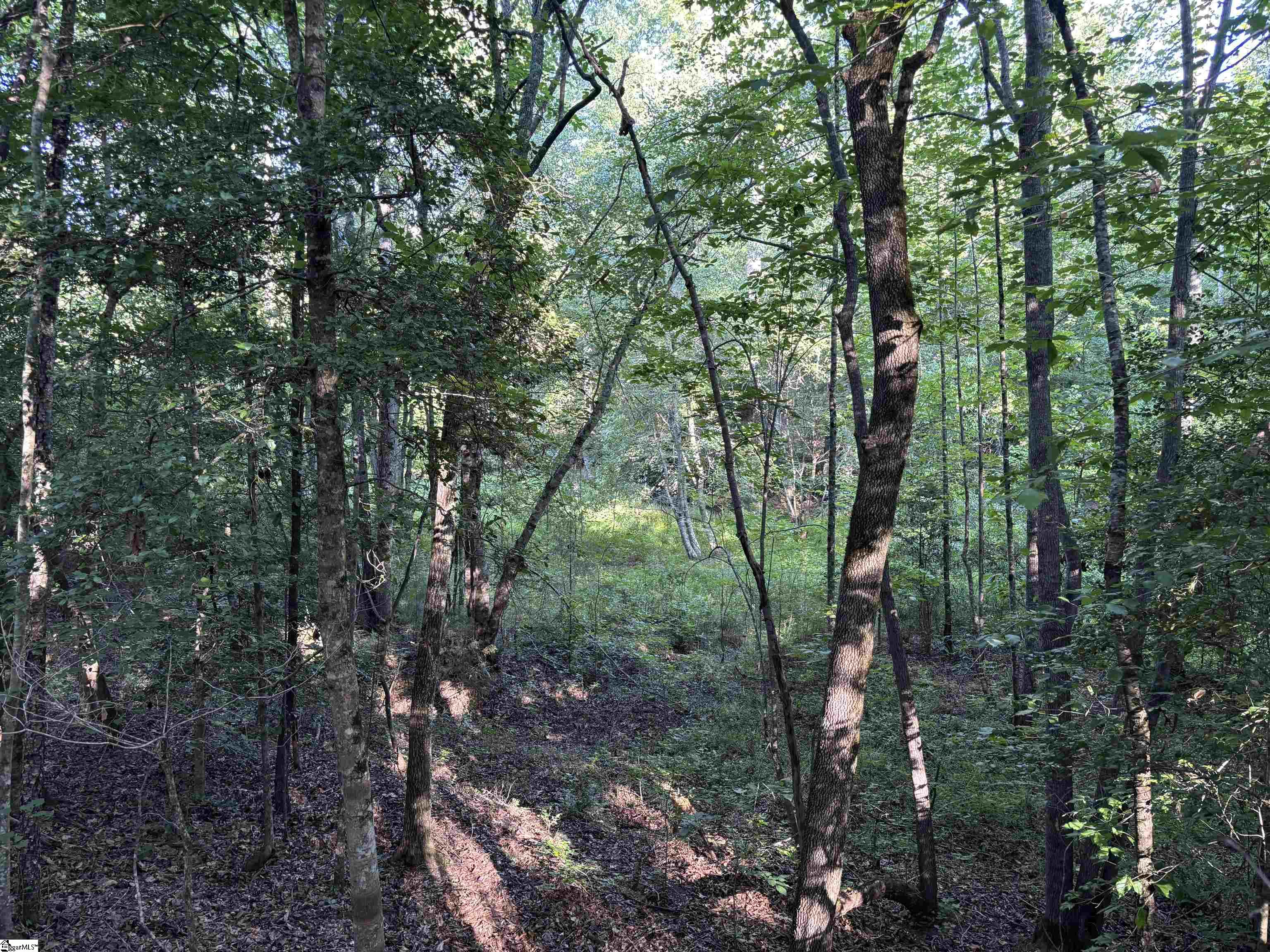 1609 Holiday Dam Road Belton, SC 29627