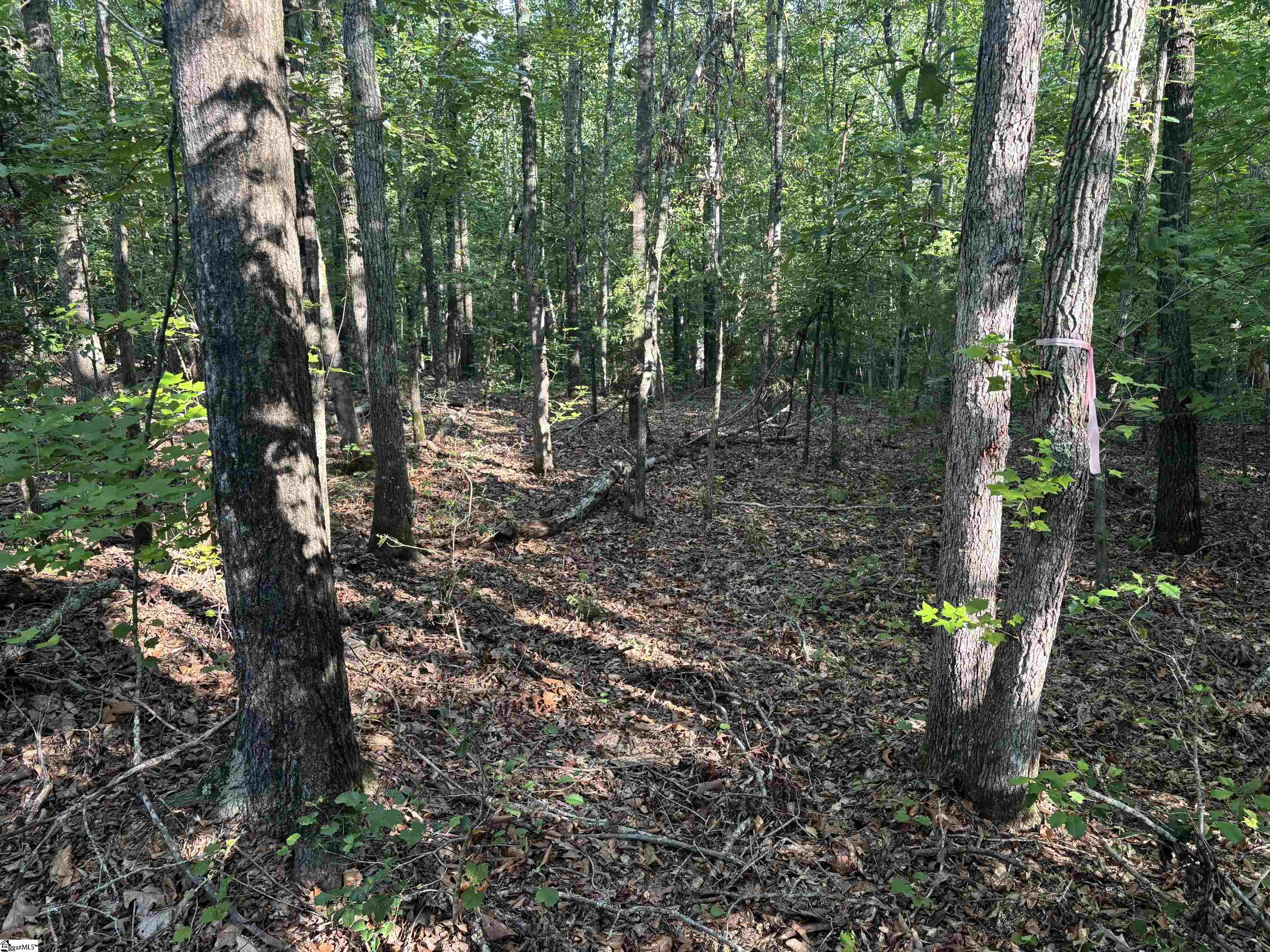 1609 Holiday Dam Road Belton, SC 29627
