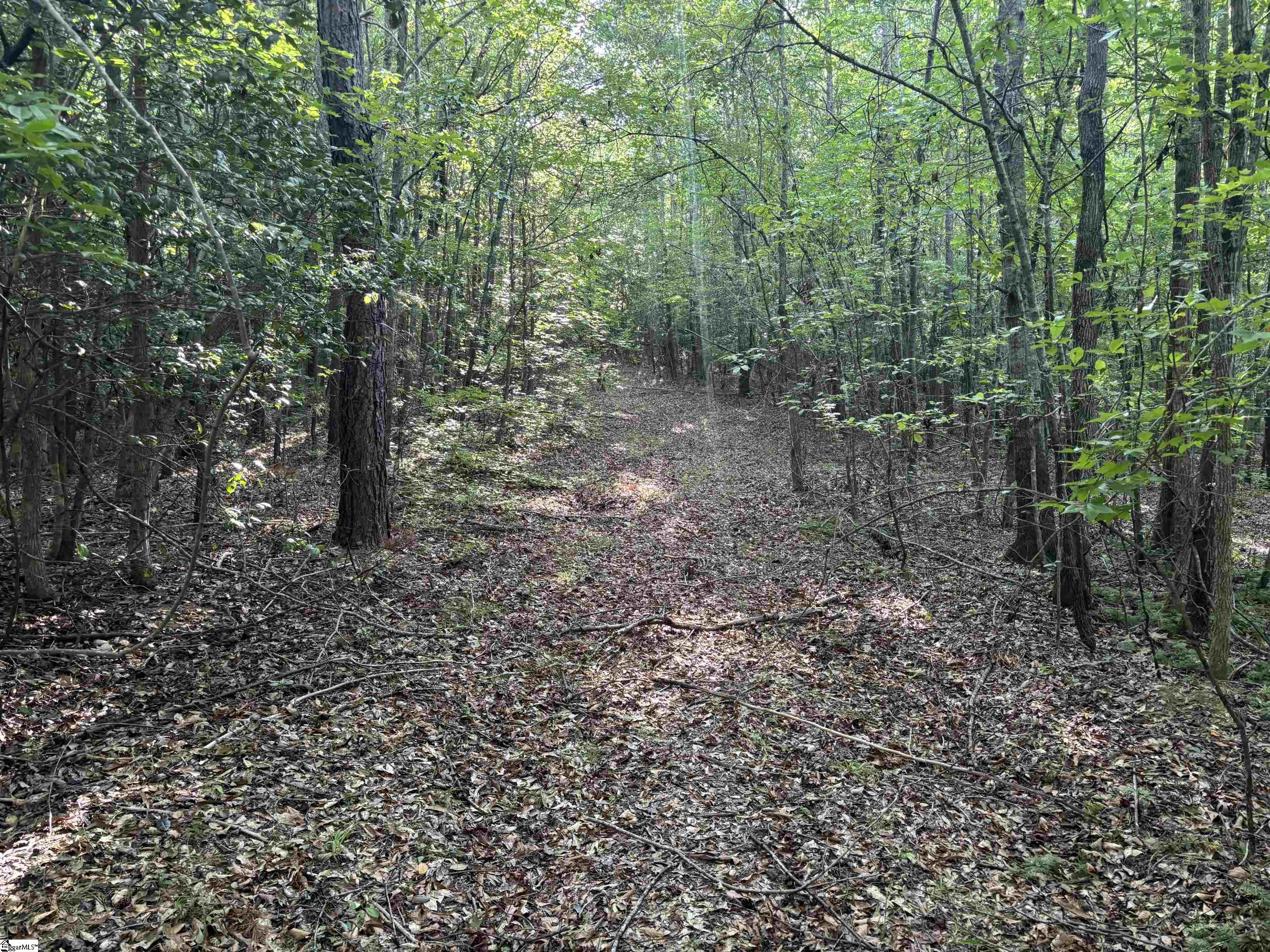 1609 Holiday Dam Road Belton, SC 29627