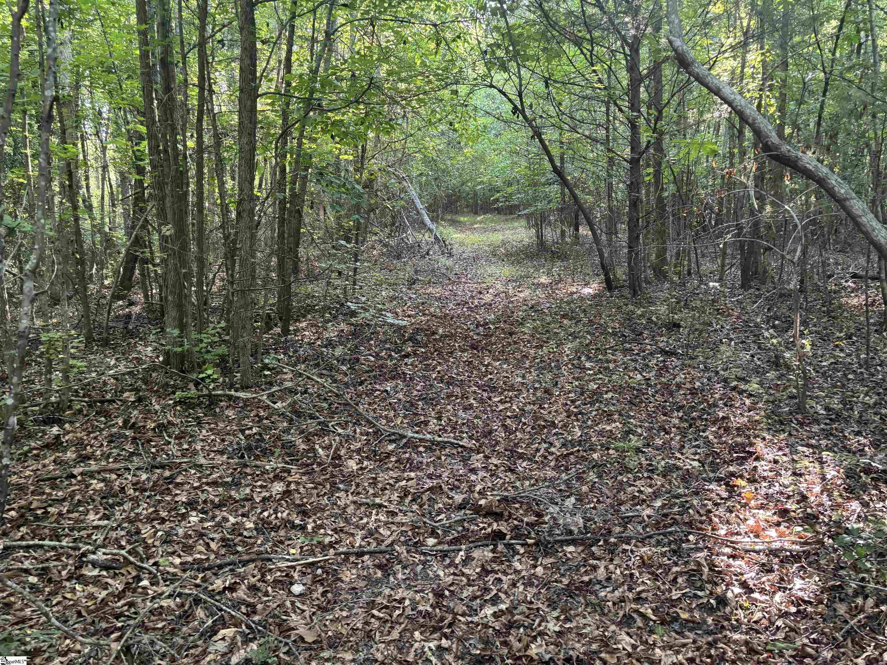 1609 Holiday Dam Road Belton, SC 29627
