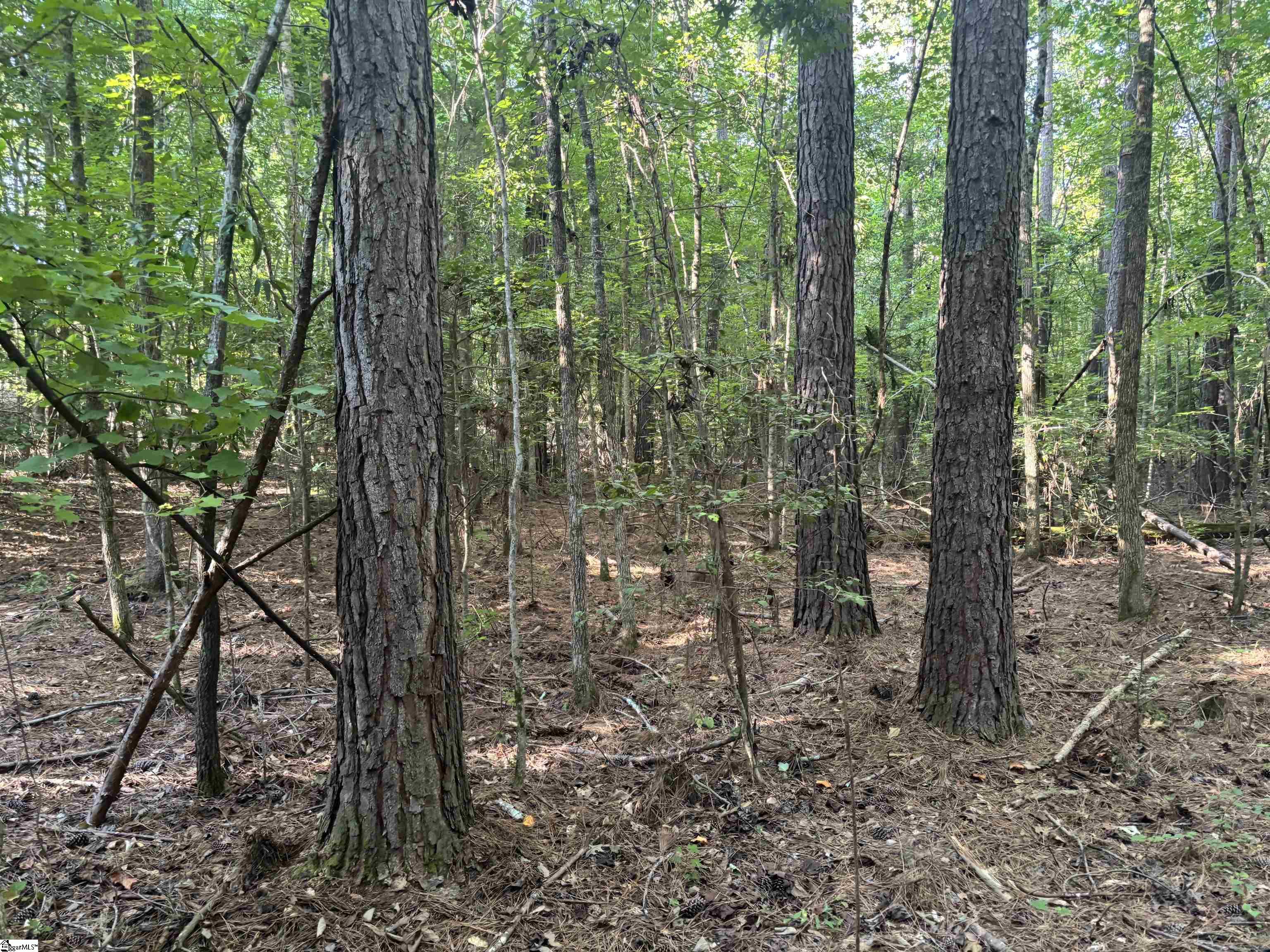 1609 Holiday Dam Road Belton, SC 29627