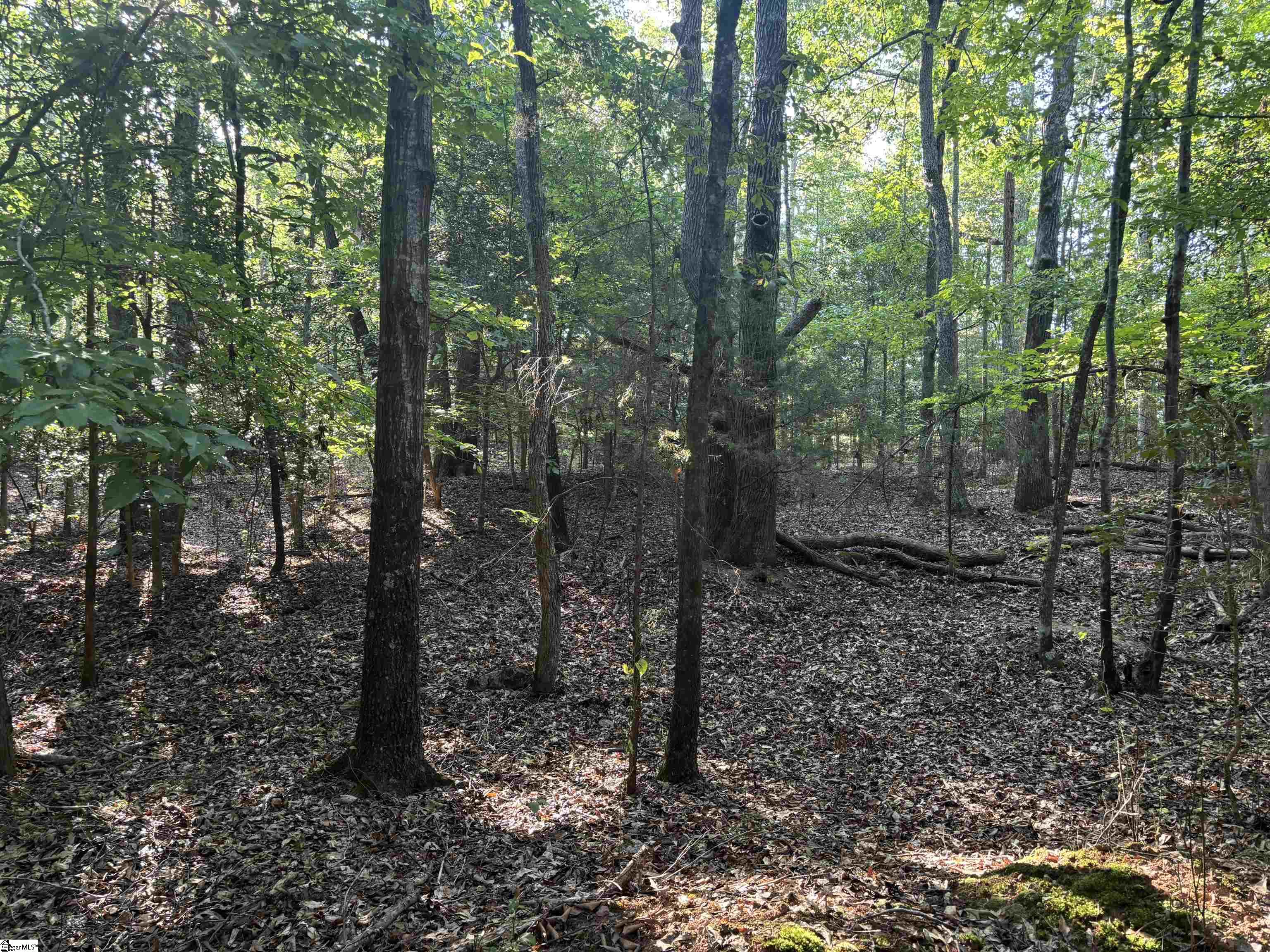 1609 Holiday Dam Road Belton, SC 29627