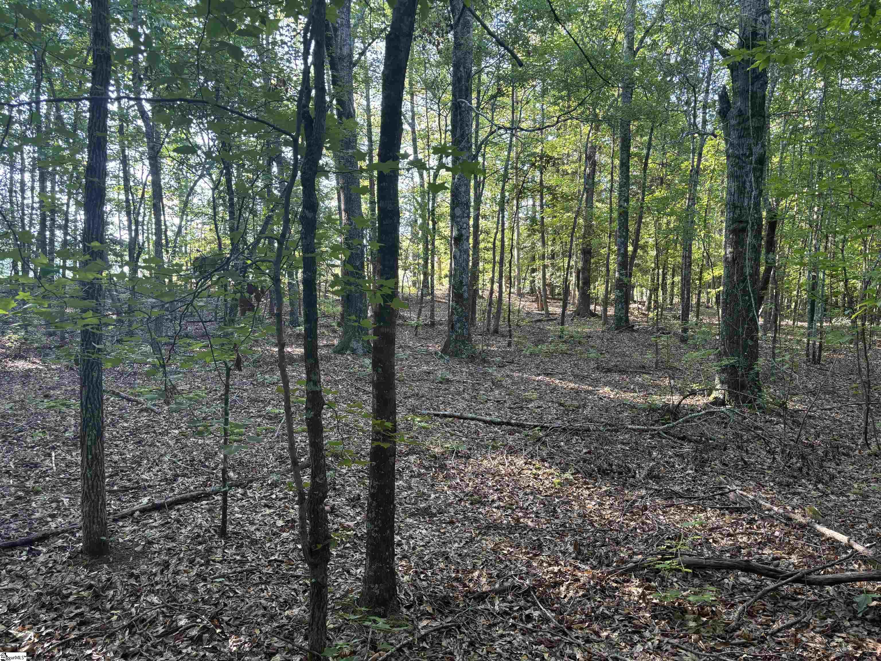 1609 Holiday Dam Road Belton, SC 29627