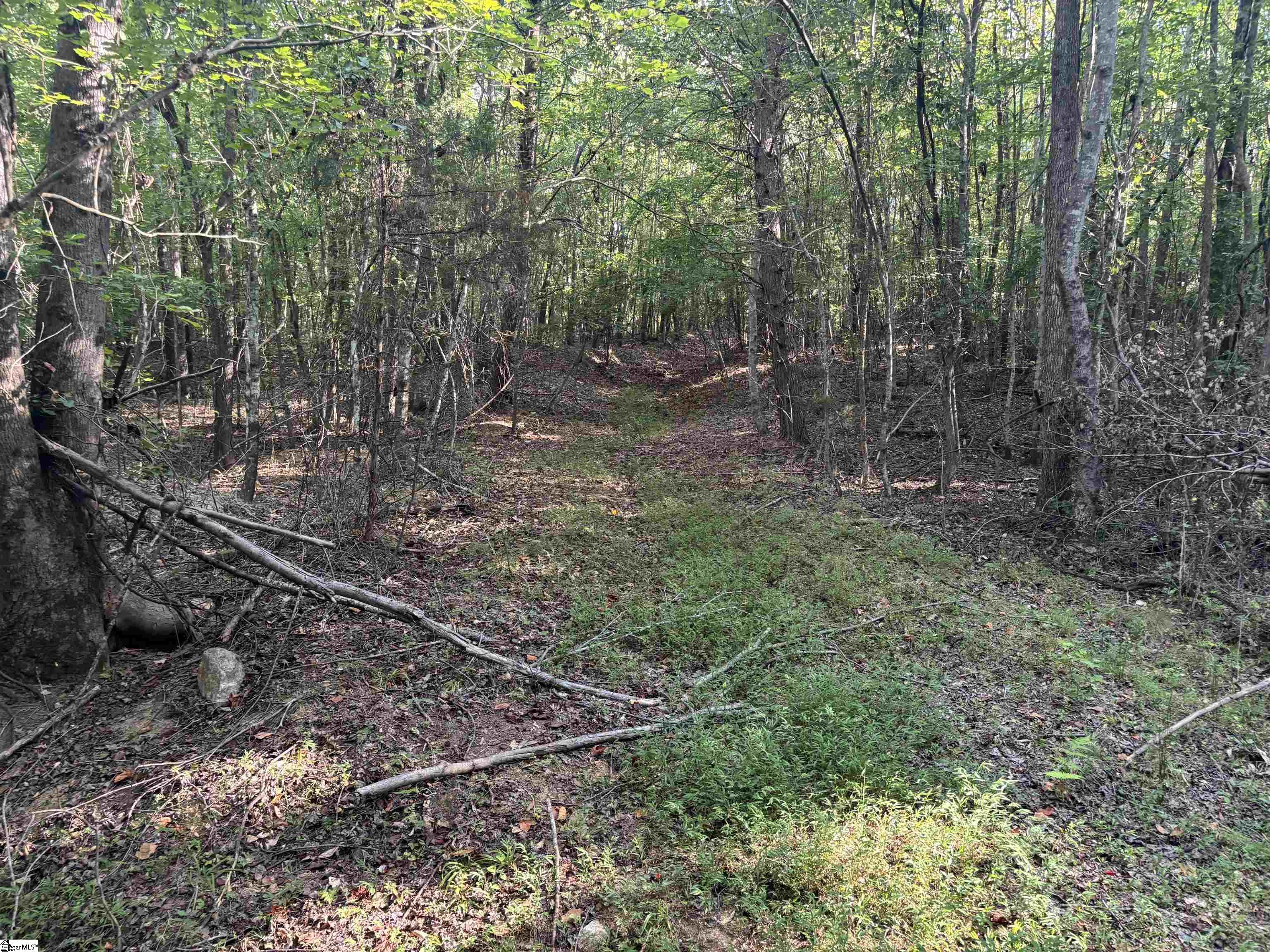 1609 Holiday Dam Road Belton, SC 29627