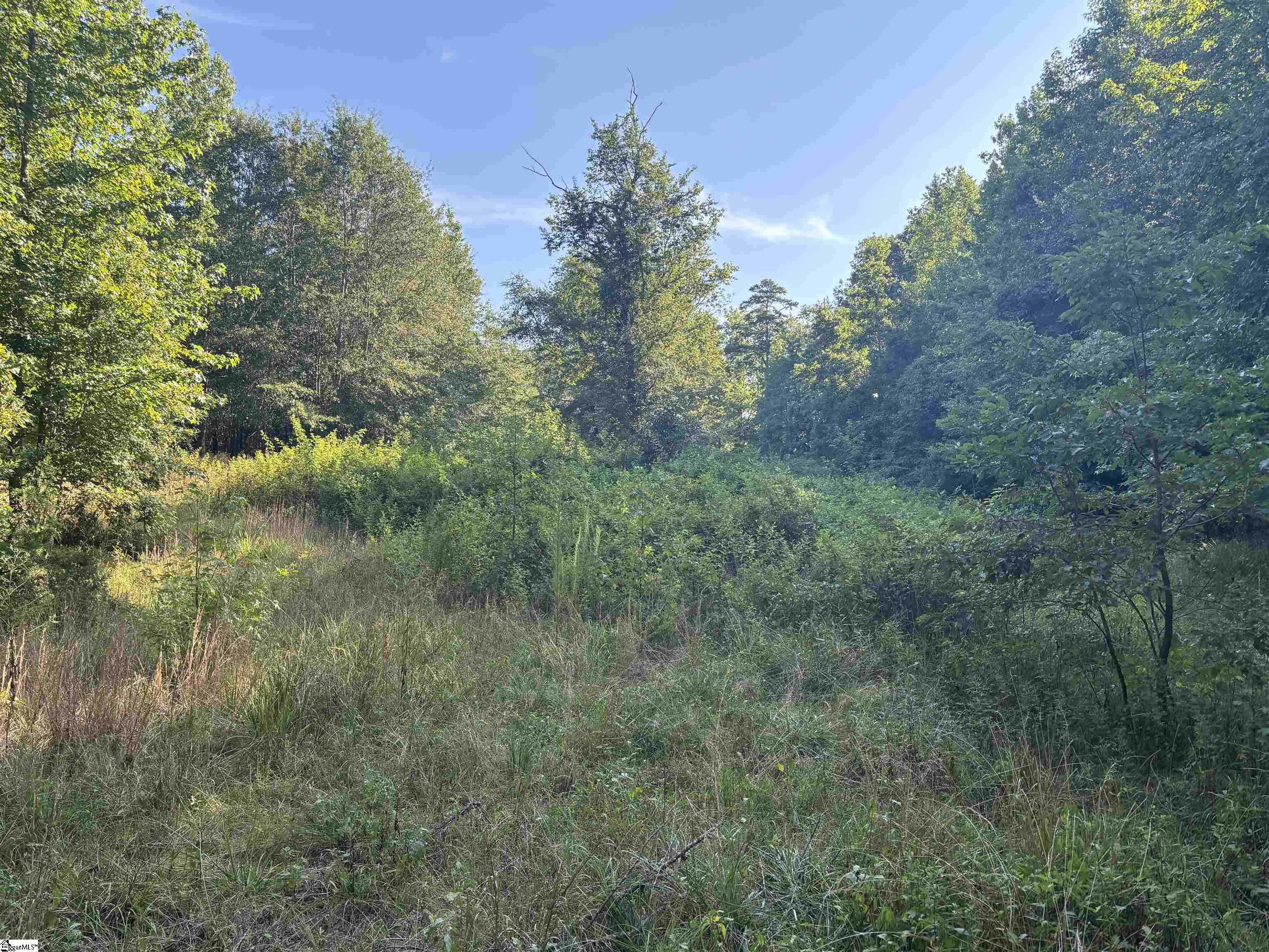 1609 Holiday Dam Road Belton, SC 29627