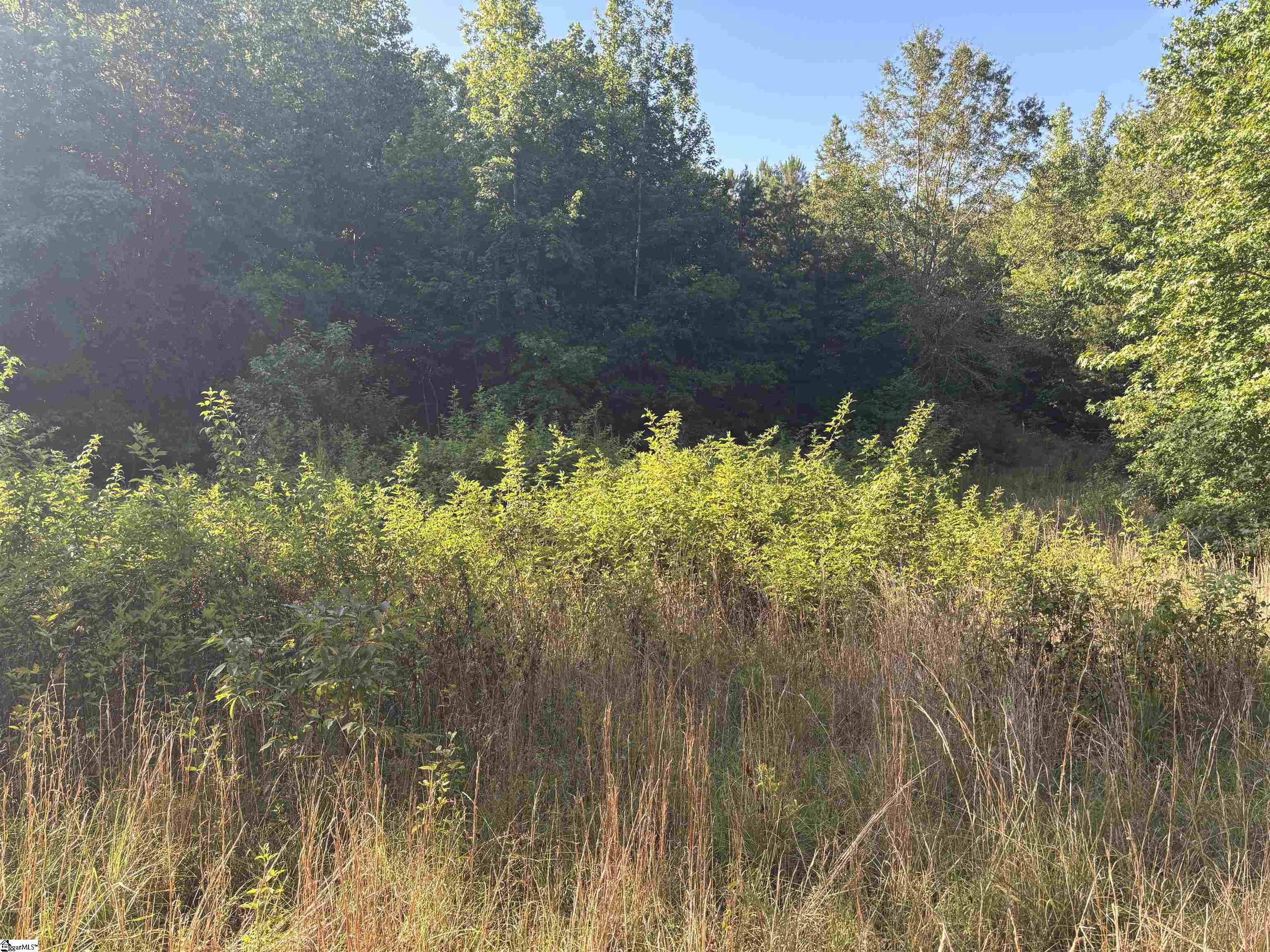 1609 Holiday Dam Road Belton, SC 29627