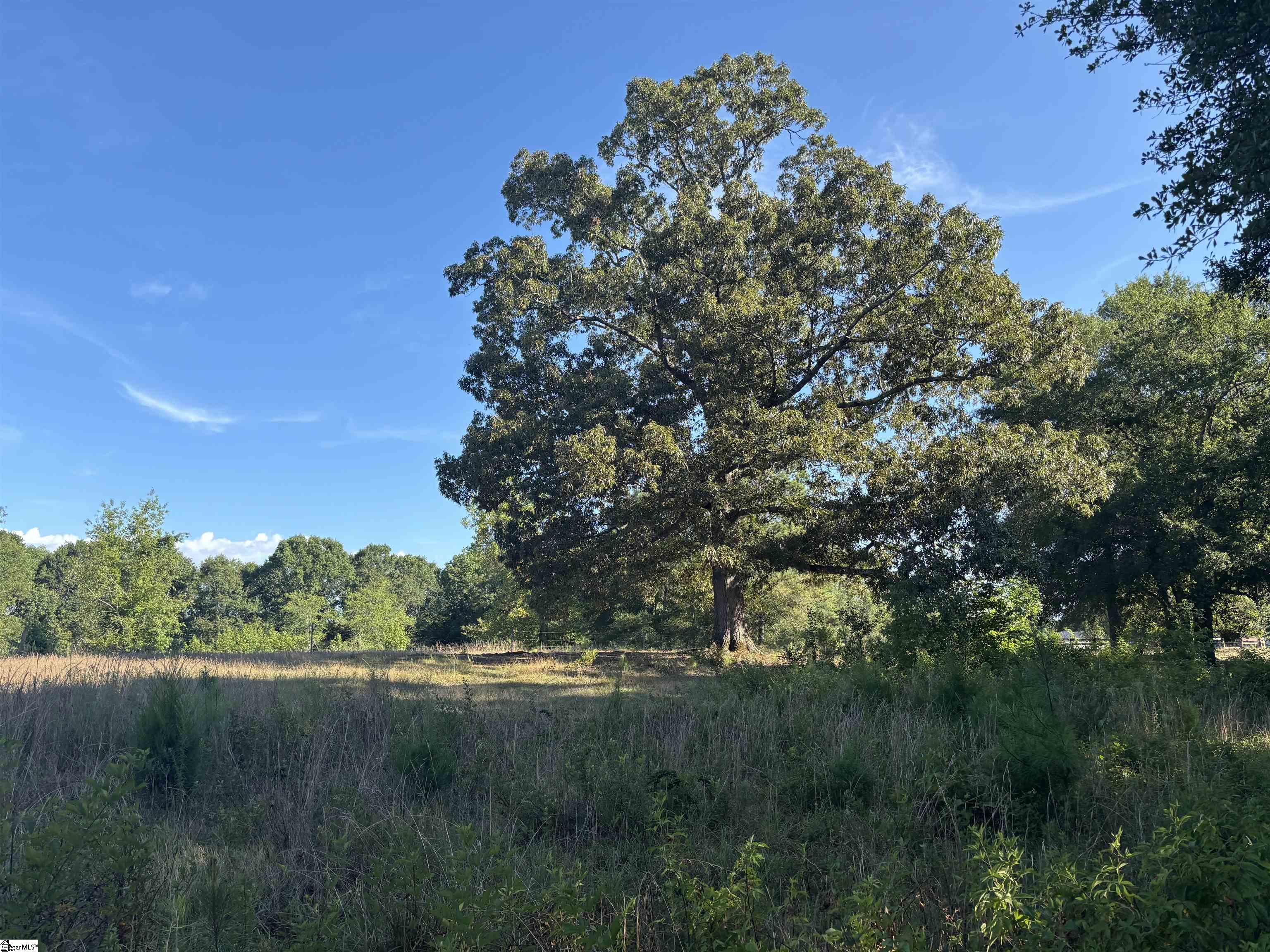 1609 Holiday Dam Road Belton, SC 29627