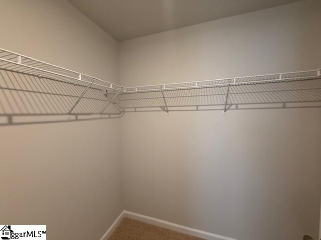 1641 Savannah Mills Drive Spartanburg, SC 29303