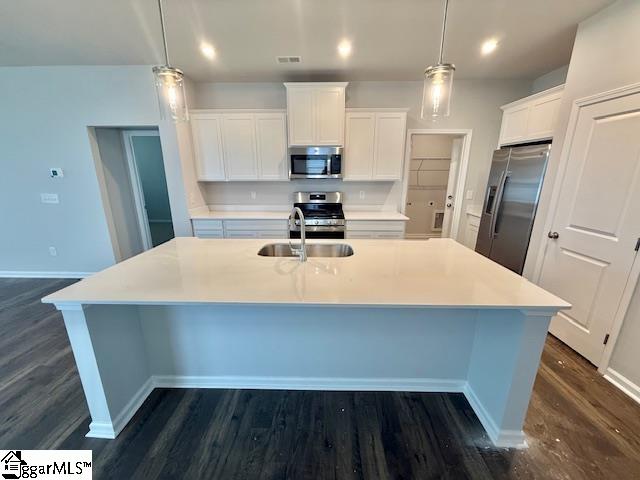 1641 Savannah Mills Drive Spartanburg, SC 29303