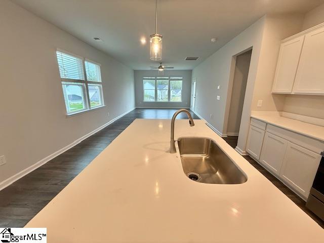 1641 Savannah Mills Drive Spartanburg, SC 29303