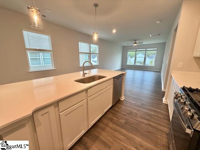1641 Savannah Mills Drive Spartanburg, SC 29303