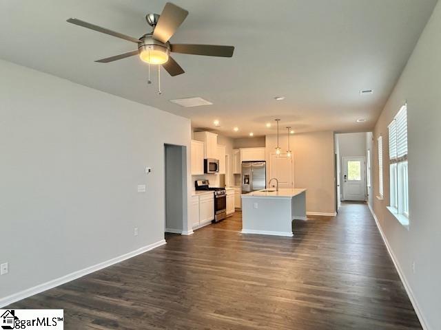 1641 Savannah Mills Drive Spartanburg, SC 29303
