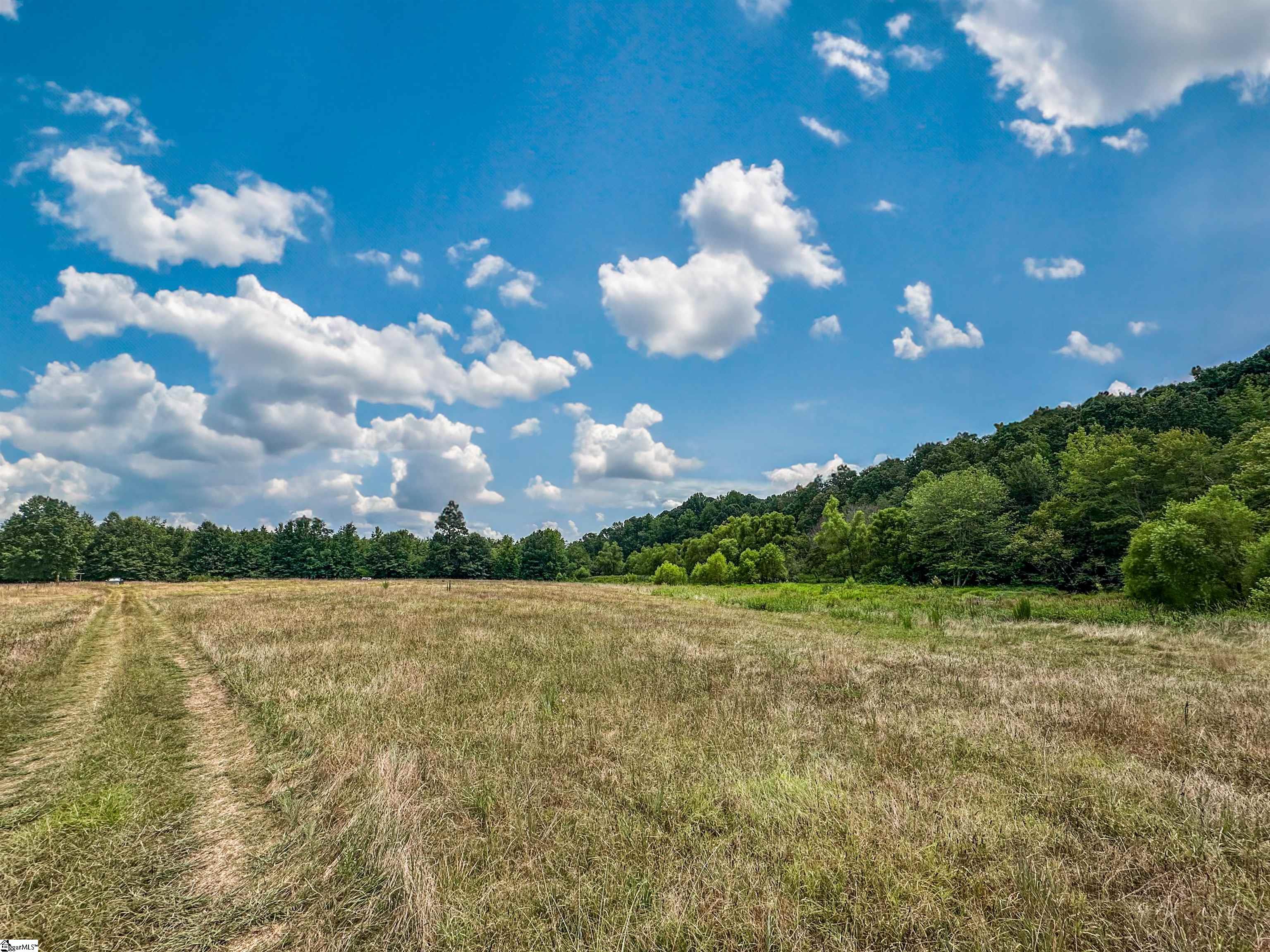 1104B Henry Thomas Road Belton, SC 29627