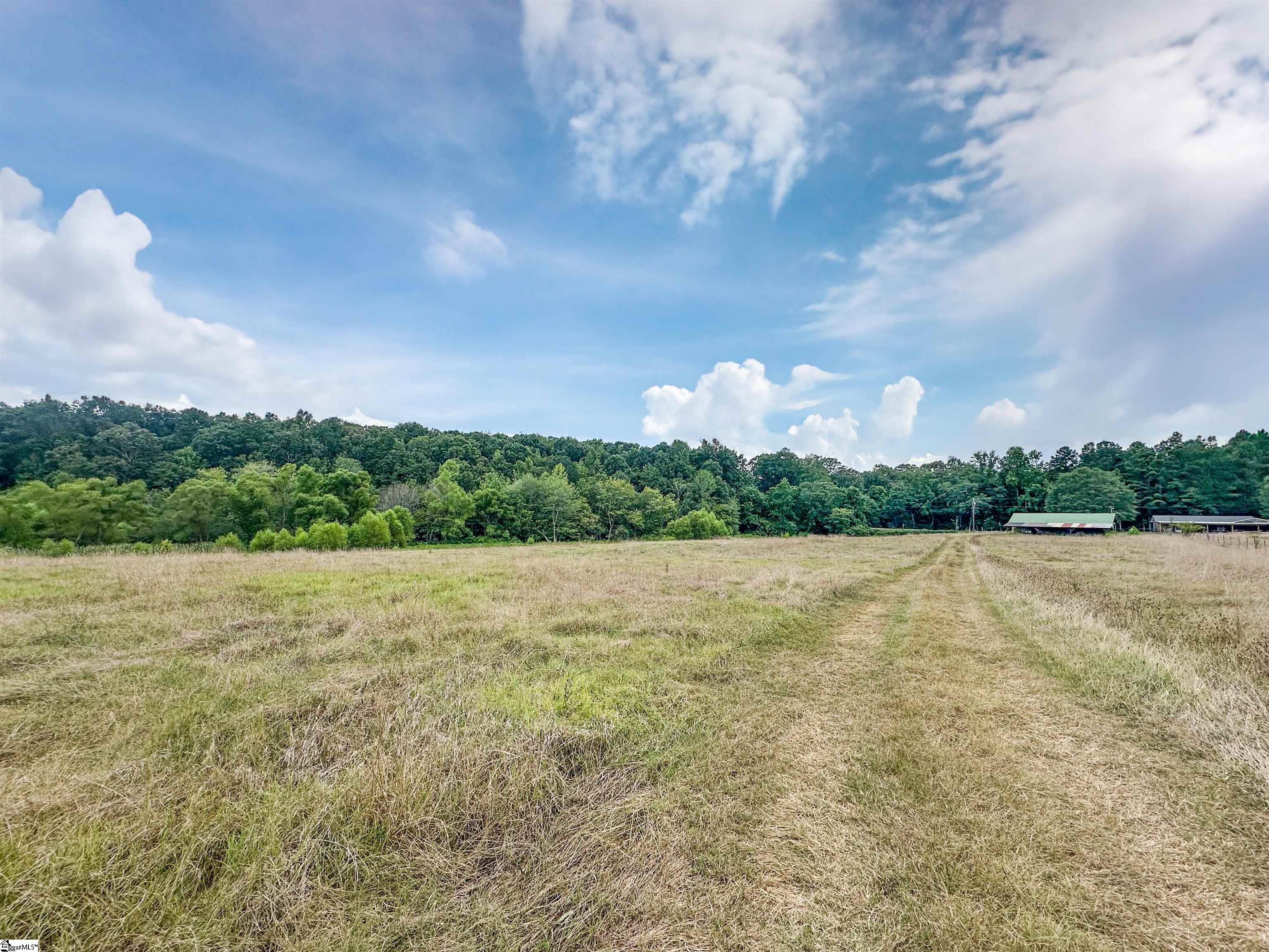1104B Henry Thomas Road Belton, SC 29627