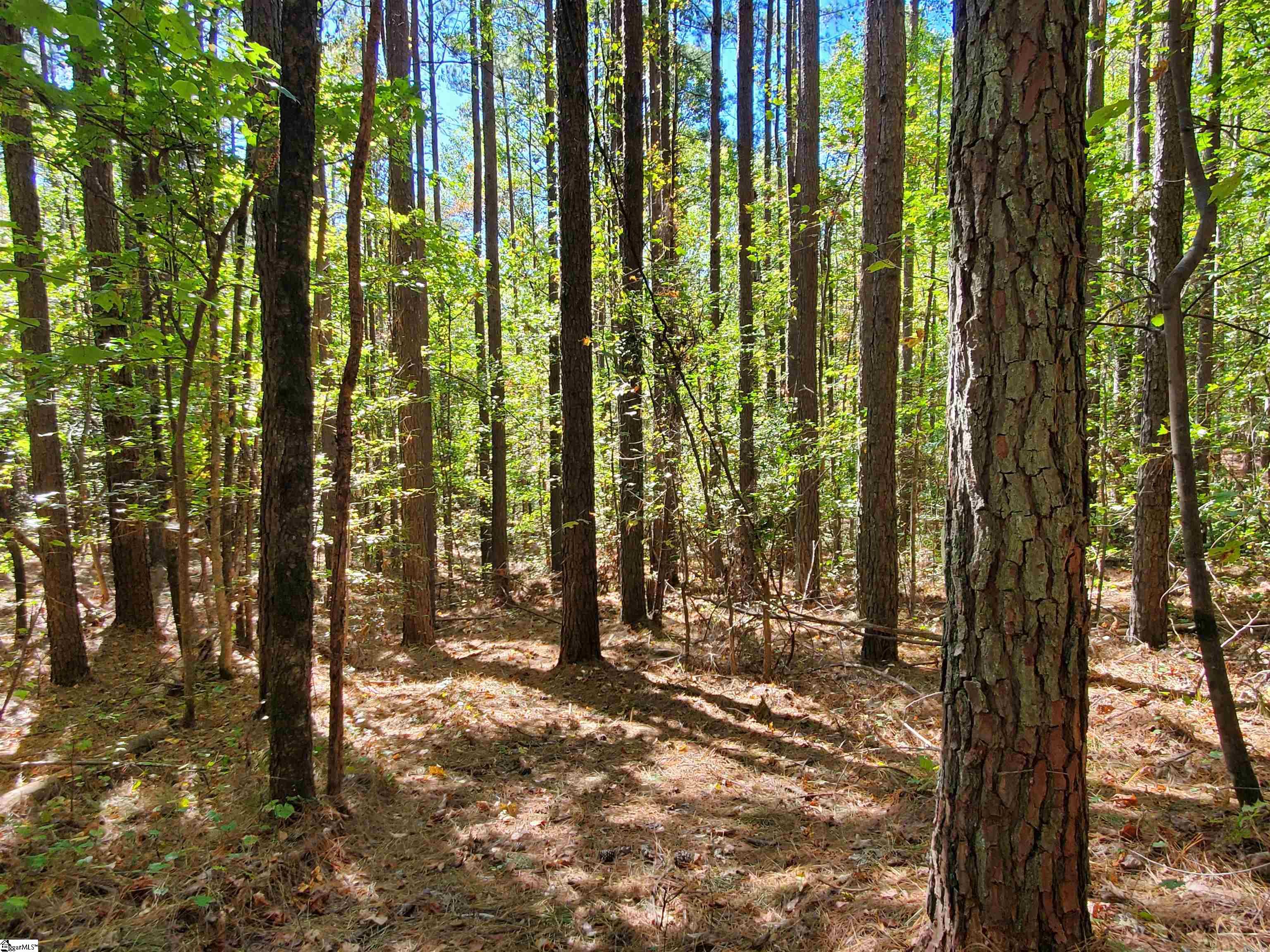 16 Belk Road Travelers Rest, SC 29690