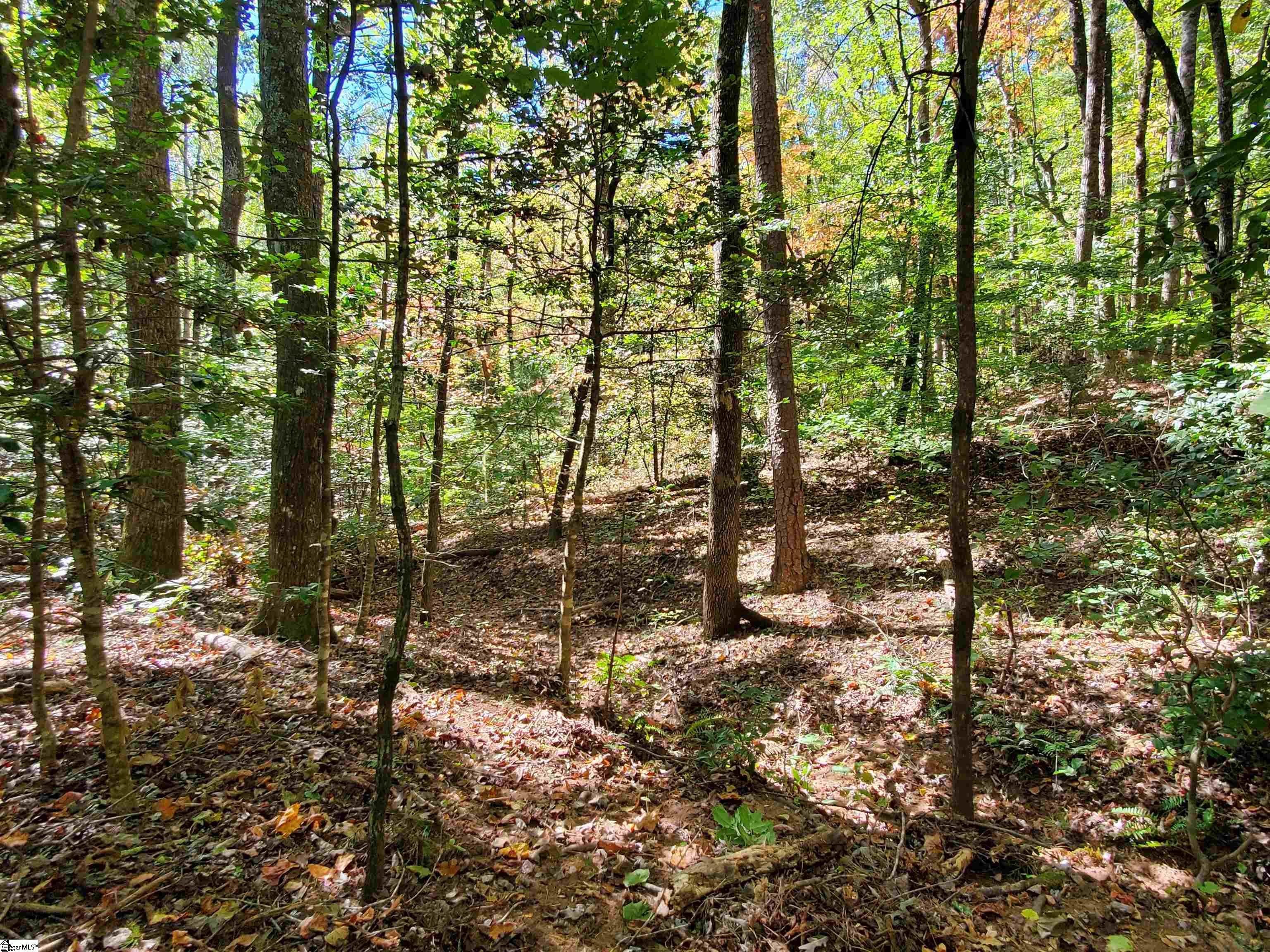 16 Belk Road Travelers Rest, SC 29690