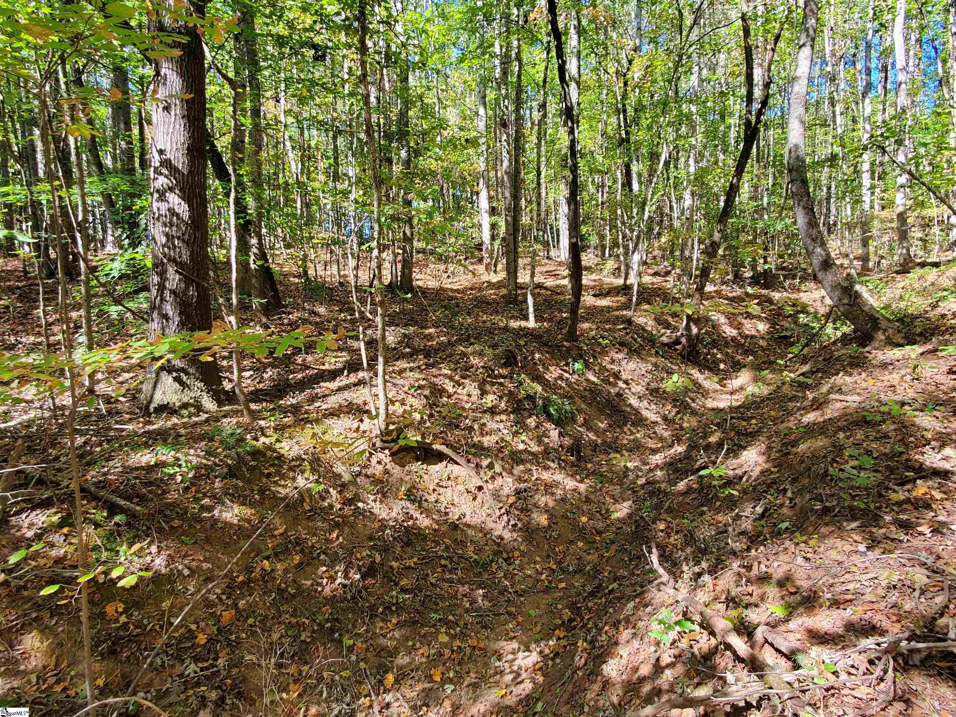 16 Belk Road Travelers Rest, SC 29690