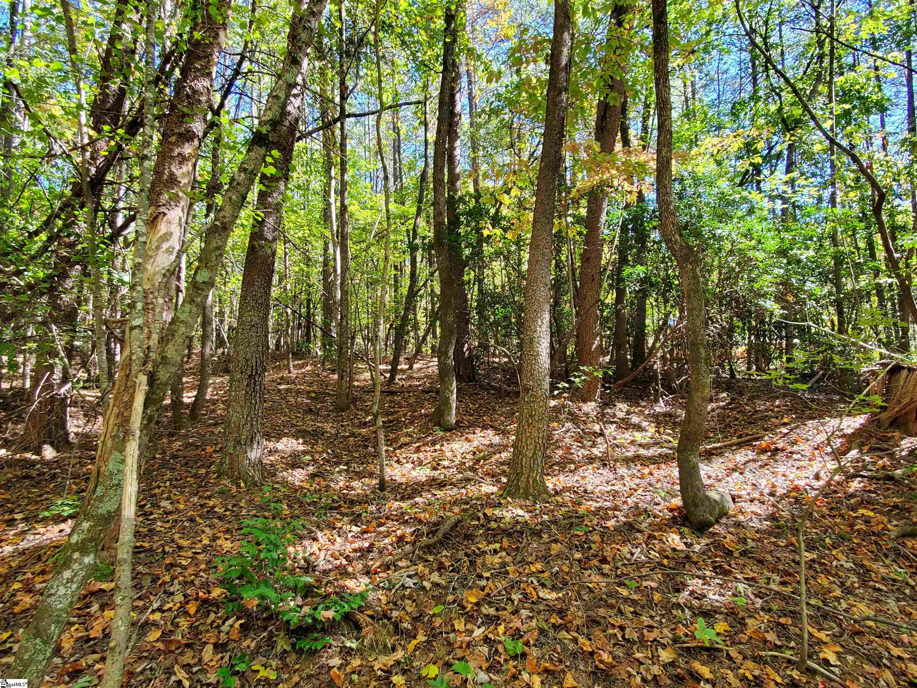 16 Belk Road Travelers Rest, SC 29690