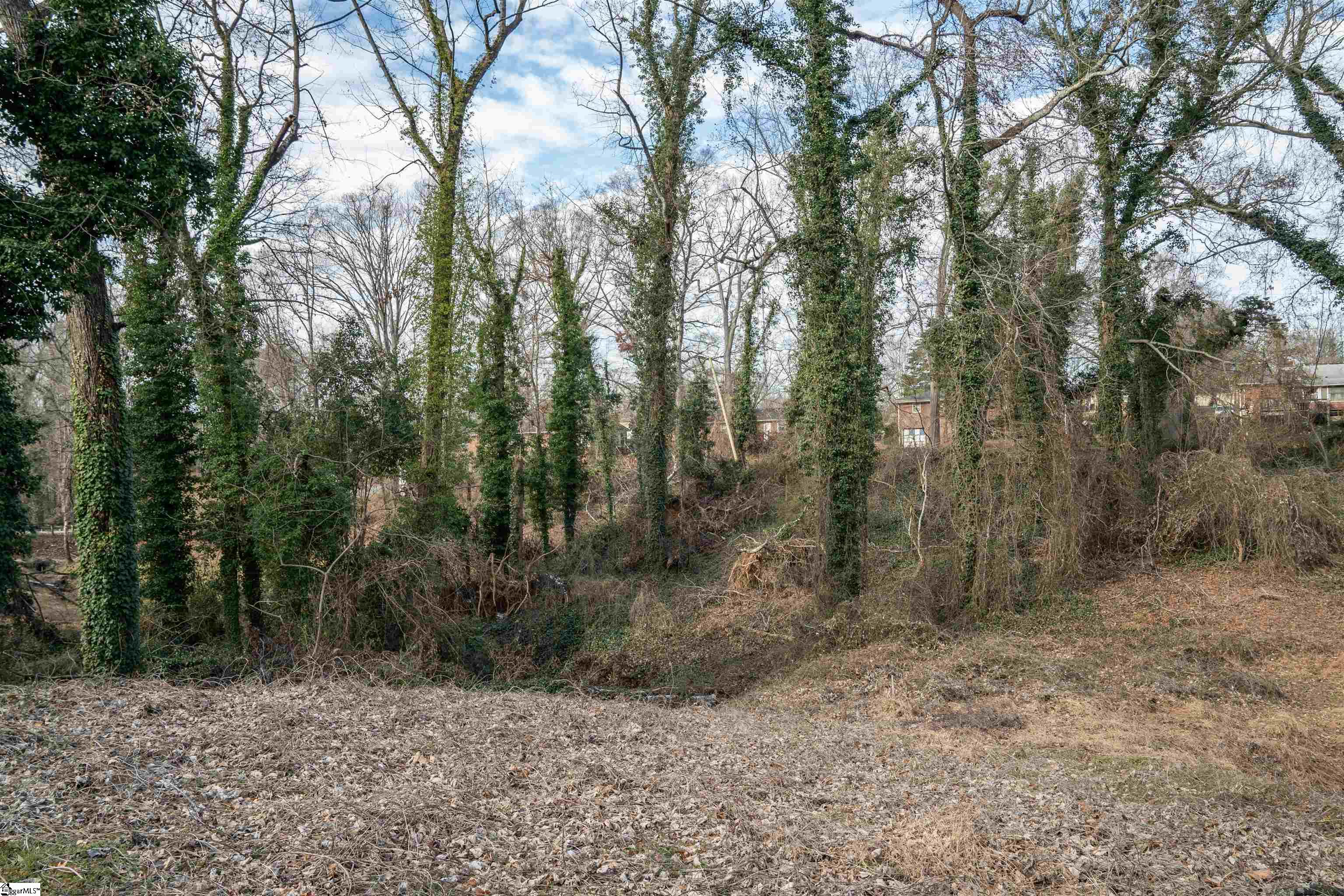 000 S Church Street Extension UNIT Lot 13 & 14 Spartanburg, SC 29306