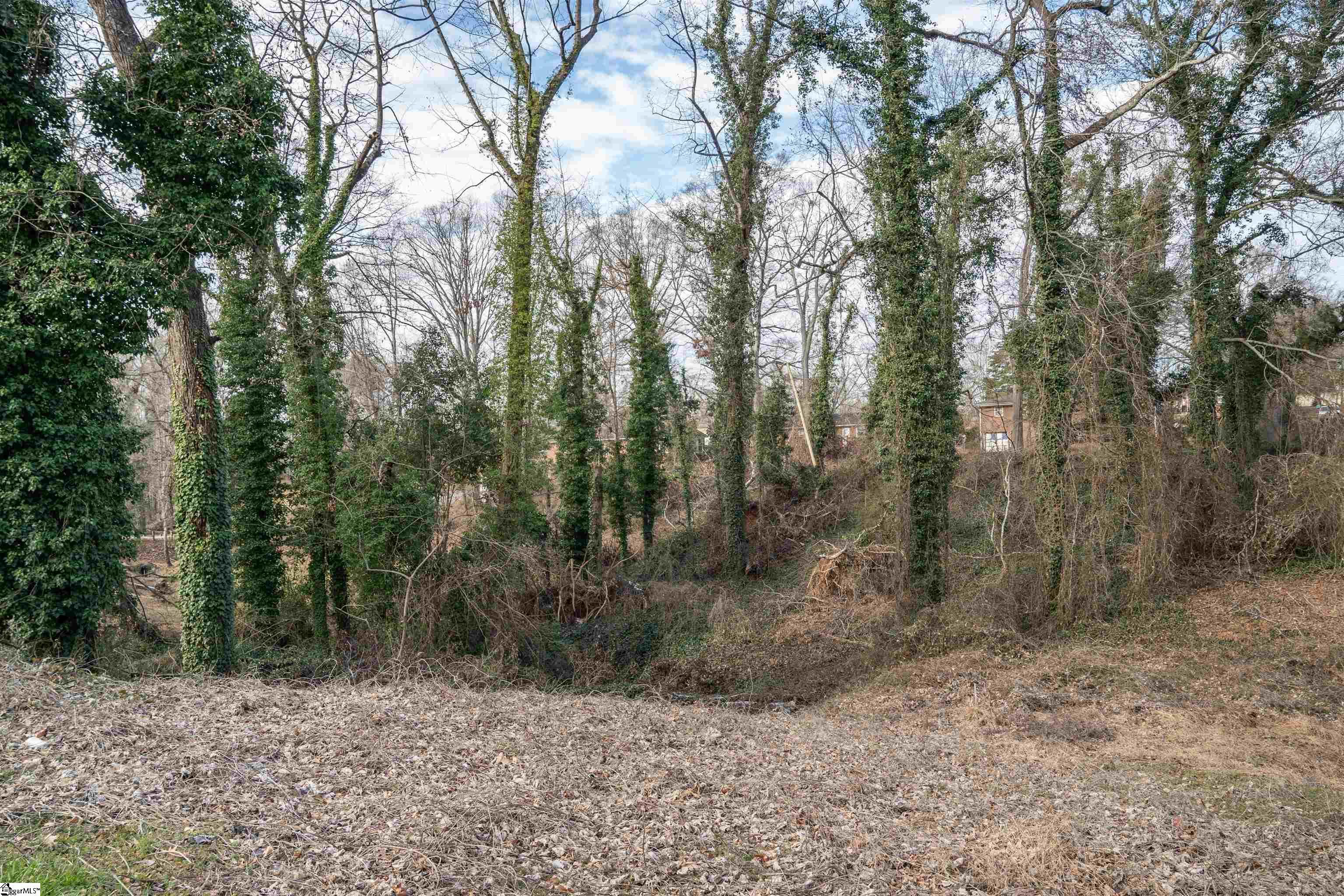 000 S Church Street Extension UNIT Lot 13 & 14 Spartanburg, SC 29306