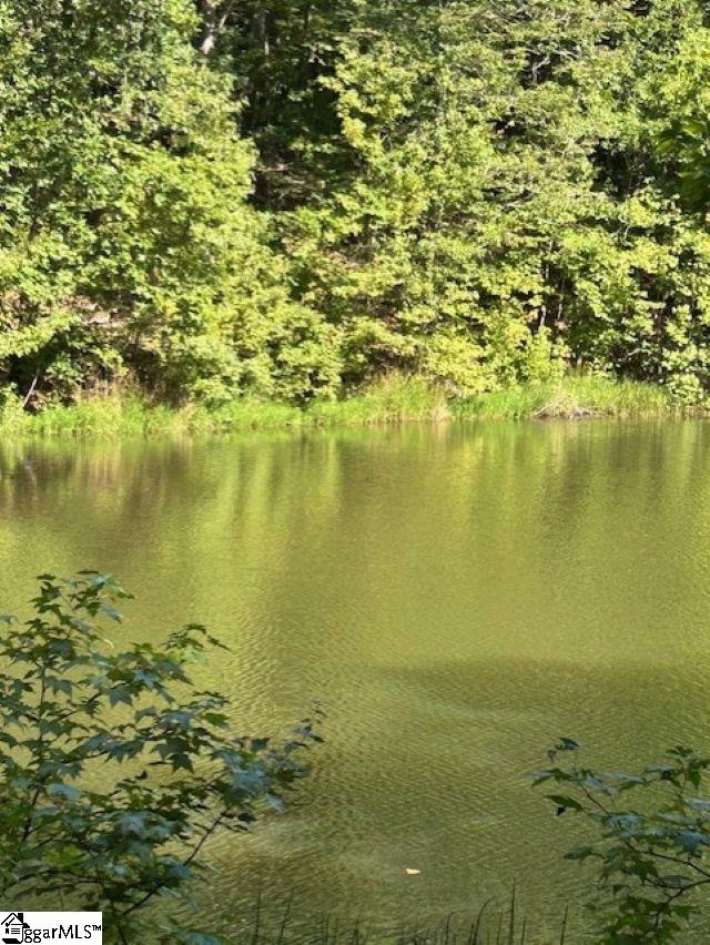 675 Belvue Road Travelers Rest, SC 29690