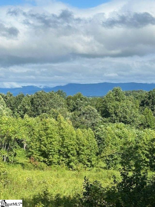 675 Belvue Road Travelers Rest, SC 29690