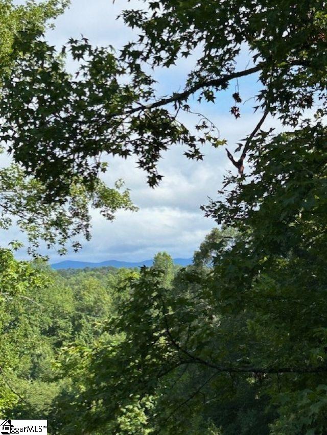 675 Belvue Road Travelers Rest, SC 29690