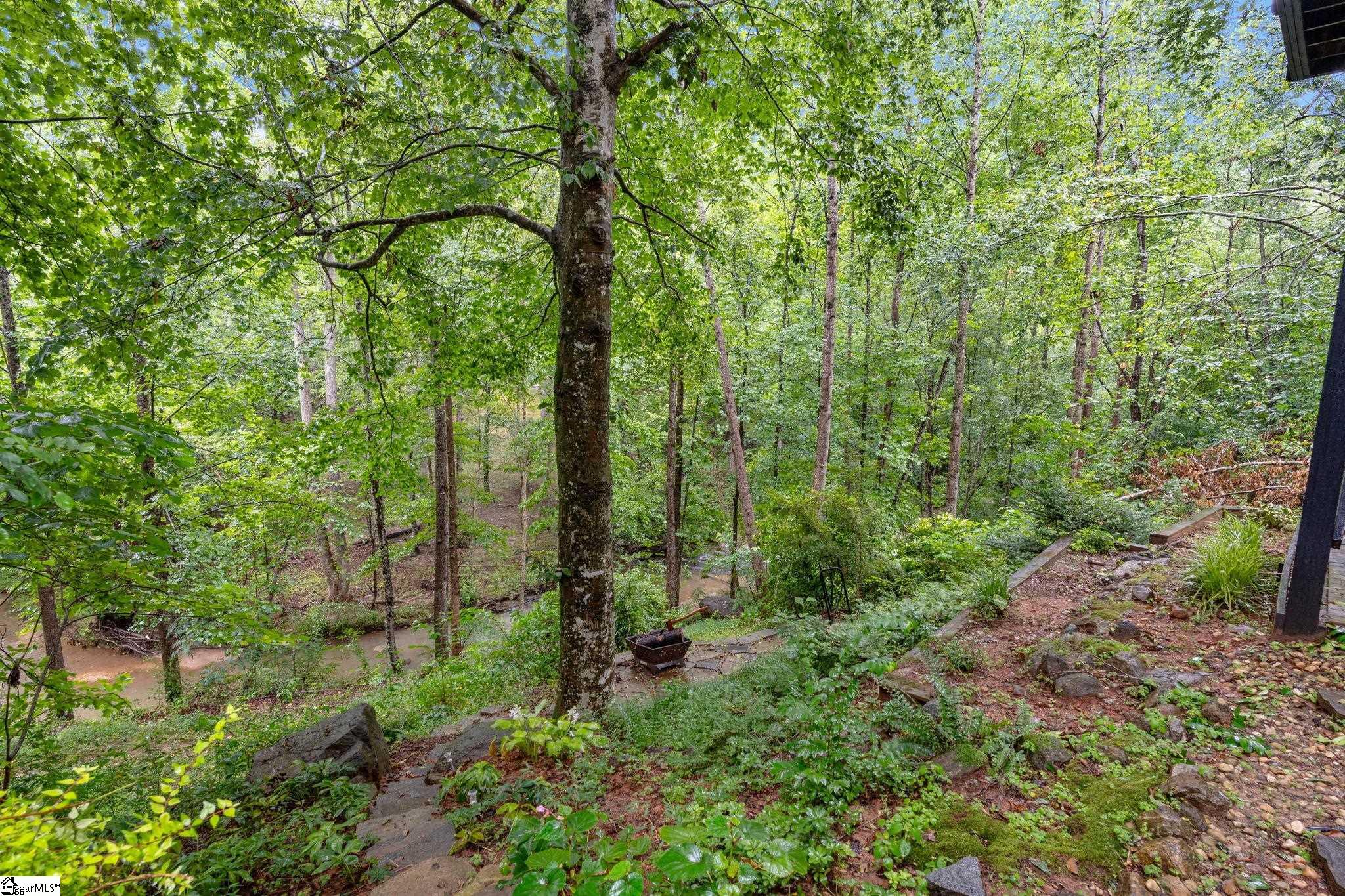 213 Marcie Rush Lane Greer, SC 29651