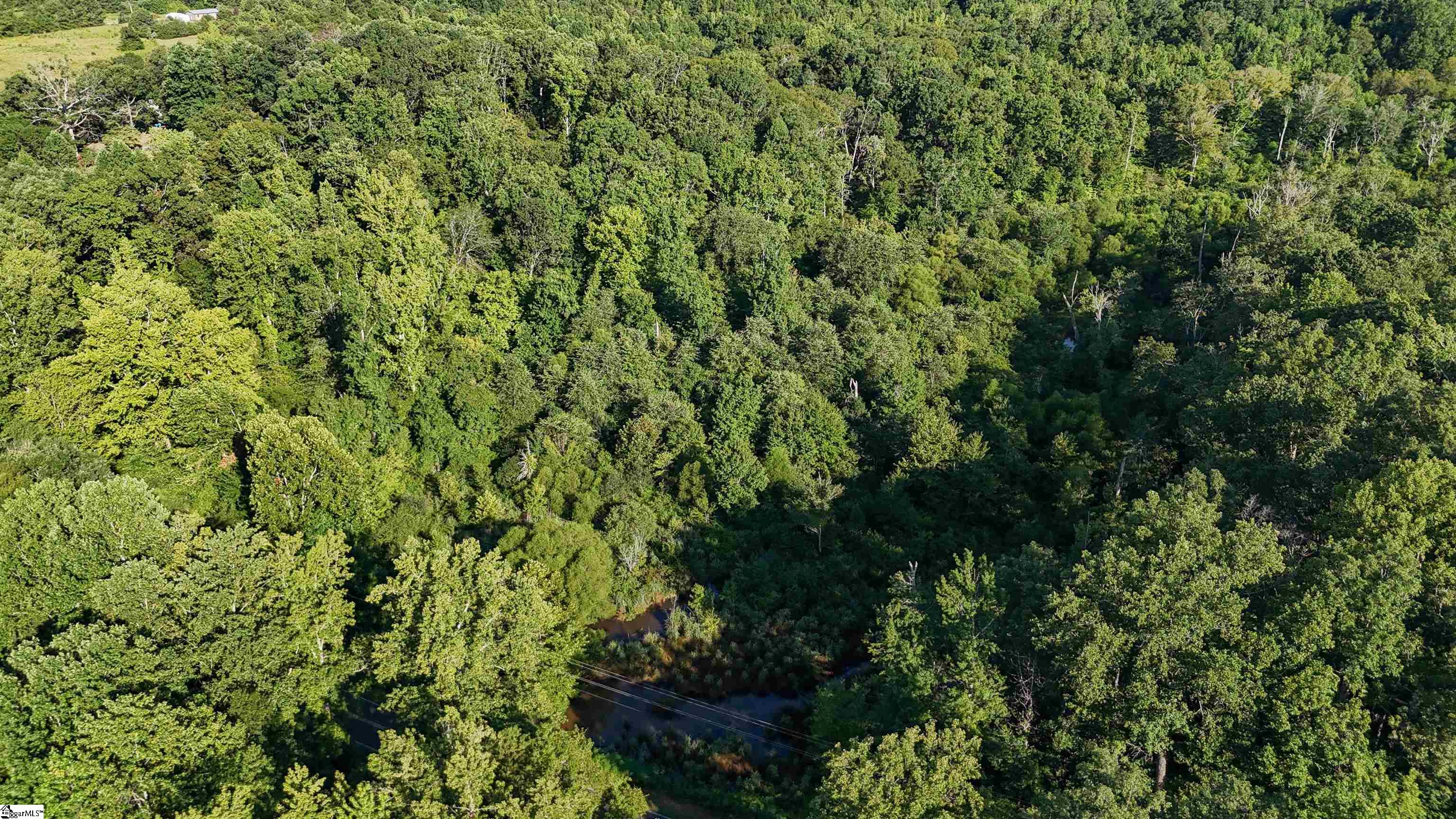 217 W Chapman Road UNIT Lot 1 Belton, SC 29627